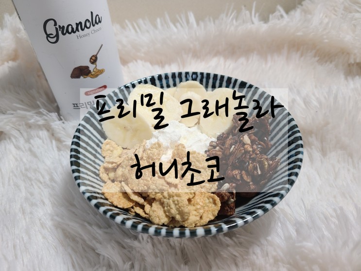 맛있는 무설탕 수제그래놀라 추천 "프리밀 그래놀라 허니초코"
