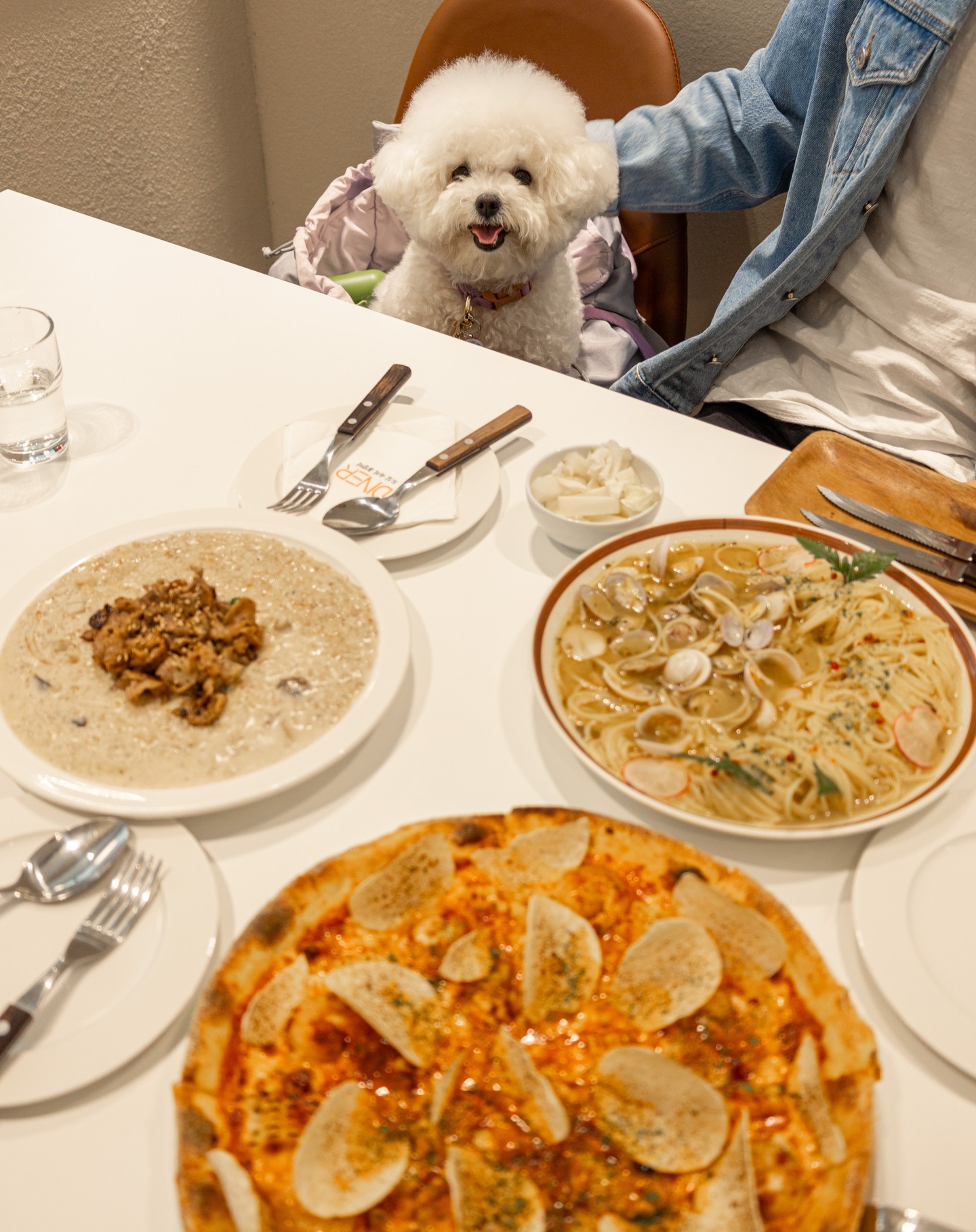 #청주애견동반식당

청주 메밀밭 꽃구경하고나서
오픈한지 얼마 안된 신상맛집 찾아가기ㅎㅎ
애견동반식당에 배변패드까지 챙겨주는곳은
처음이라 내적감동까지해보림,, 🫶🏻
갈비리조또 진짜 달달고소짭쪼롬함 맛도리🤤
옥수수새우피자, 봉골레뻬셰파스타도 맛없없!

*자세한 정보는 프로필 링크 블로그에 :)

📍다이너 청주점 (diner_place )
충북 청주시 상당구 상당로69번길 55 2층
실내 애견동반 가능 🐶⭕️

🏷️#청주맛집 #청주애견동반 #청주애견동반맛집 #청주맛집추천 #다이너 #다이너청주점 #옥수수새우피자 #갈비리조또 #봉골레파스타