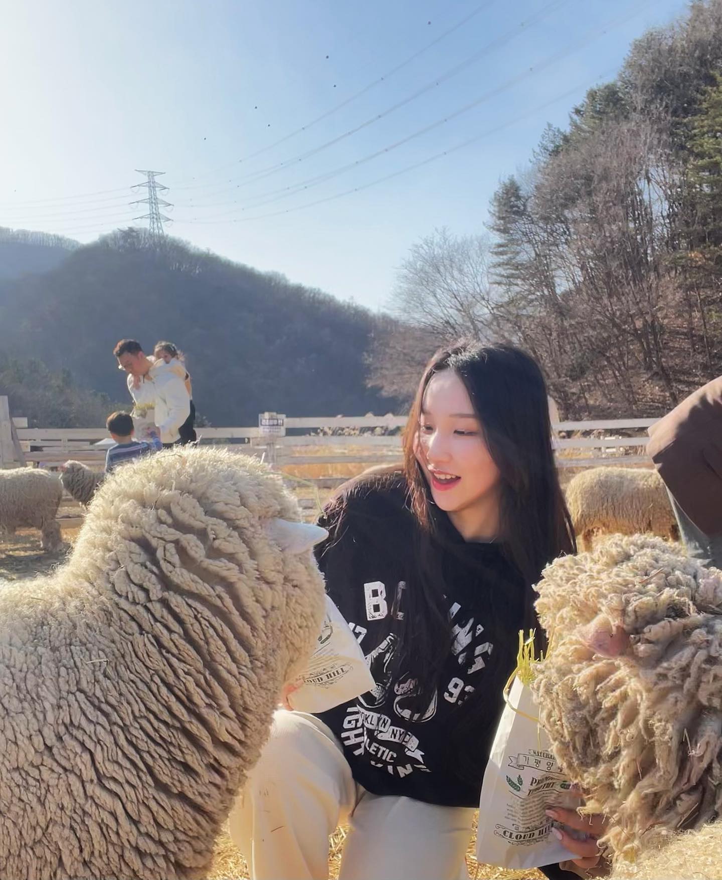🐏🐑🐑🐏🐑🐏🐑