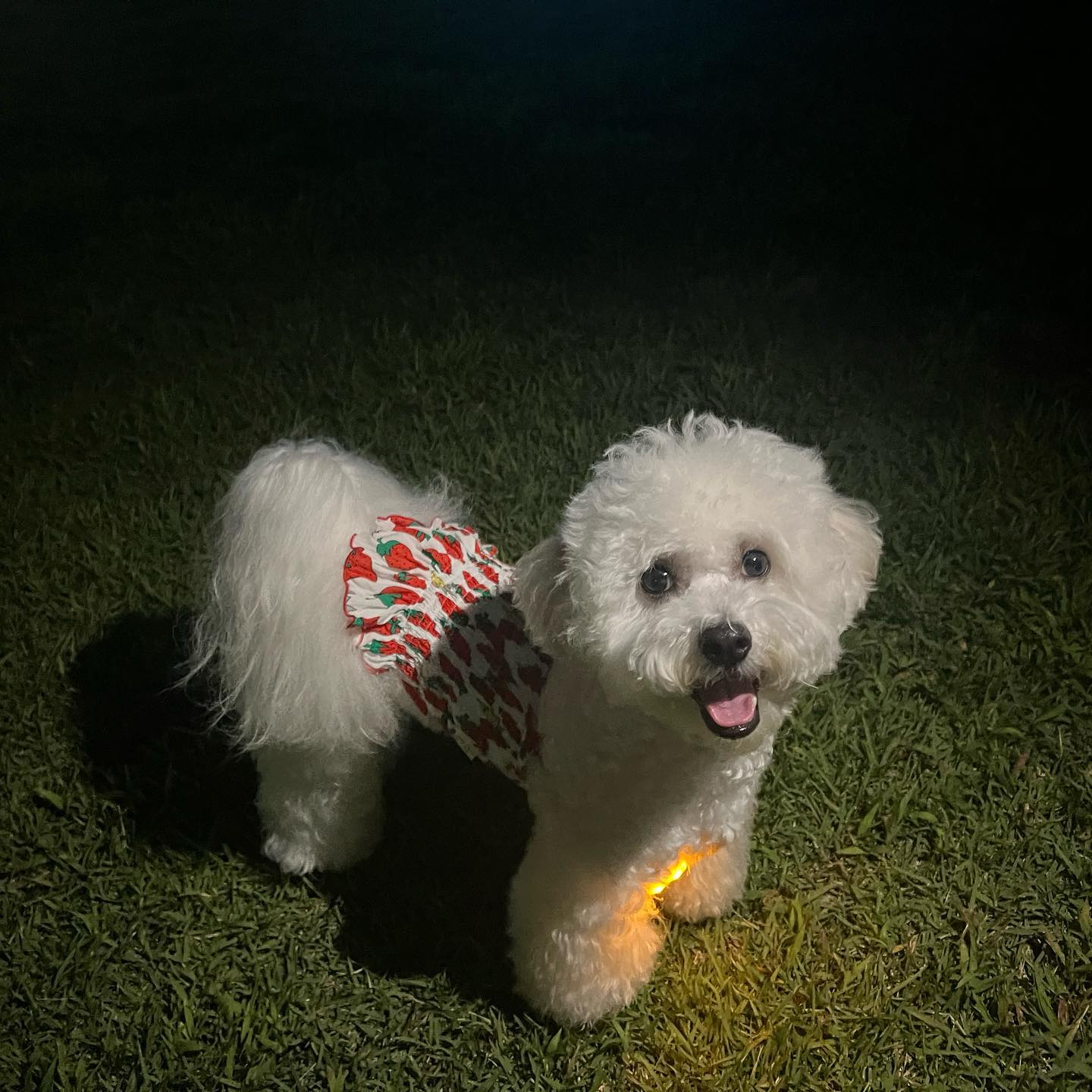 ᕼᗩᑭᑭƳ 乙乙ᗩᑎǤǤᑌ❣️