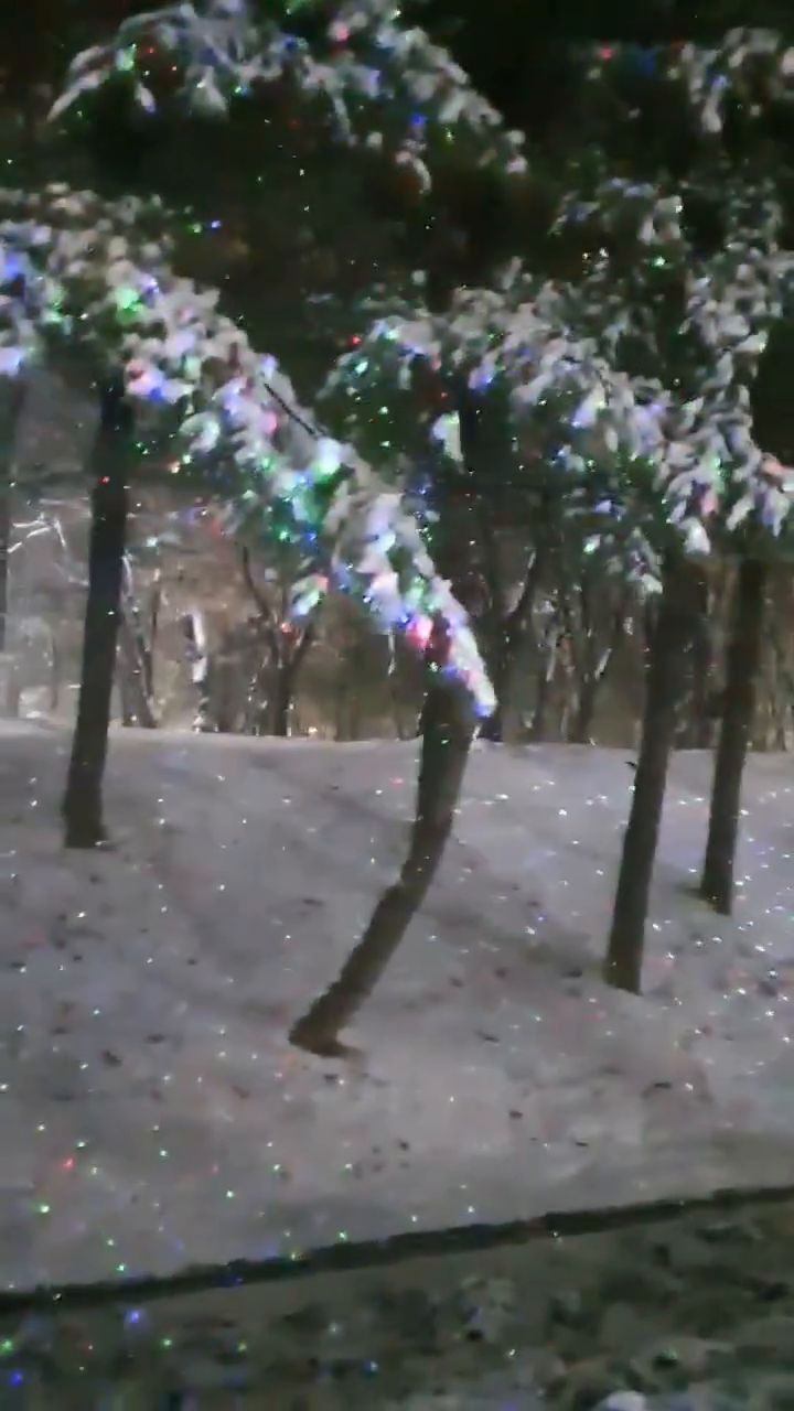 함박눈 펑펑 내린 오늘 #메타세콰이아길 
# 반딧불조명 그야말로 환상적!!

#동두천시 #송내동 #우리동네산책길