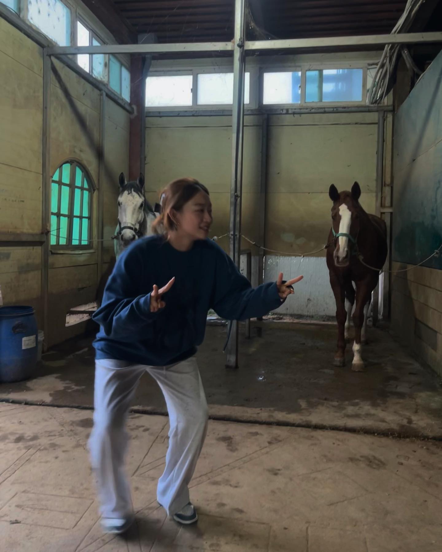 ㅂ..ㅡ브이✌️

 
#정읍#정읍카페#와일드필드커피#정읍와일드필드커피#말#토끼