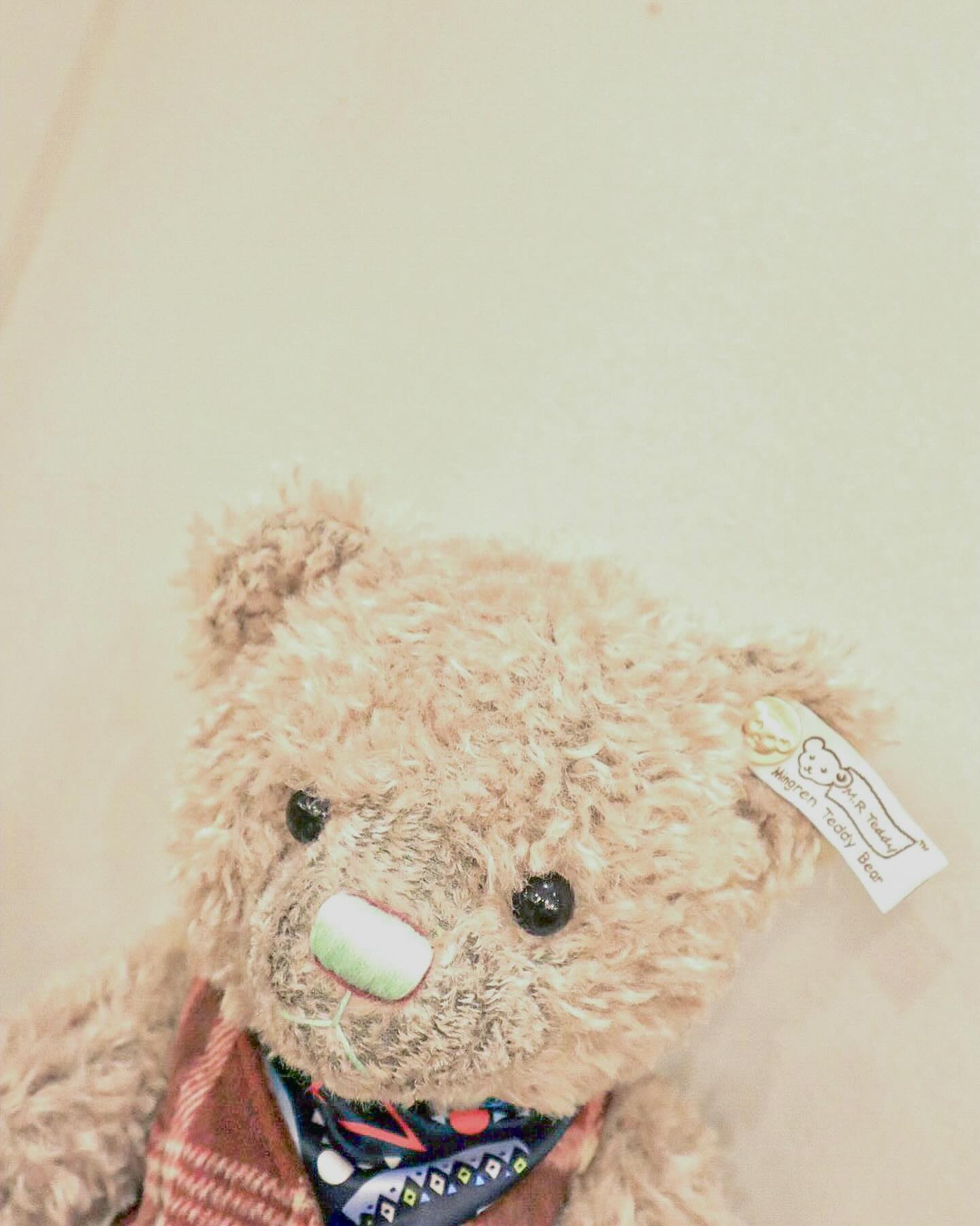 #이벤트당첨

❝하연토끼는 소금빵을 잘먹쥬우🤎❞ 

🔍 경주바니베어뮤지엄 이벤트당첨
bunny_bear_museum 

사실 이벤트인지 몰랐던 바니베어뮤지엄 이벤트,,
알고봤더니 내돈내산으로 좋아서 올렸던 피드가
추첨으로 이벤트에 당첨된것 같더라구요,,? 

귀여운 토끼 머리띠와 곰인형, 큐티뽀짝 키링,
vip 1인 티켓까지 받았답니다💌 

토끼러버 하연이는 머리띠 쓰고 소금빵 홀릭,,
조만간 경주 바니베어뮤지엄 한번더 가야겠네요ꔚ? 

-
#바니베어뮤지엄 #경주아이랑가볼만한곳