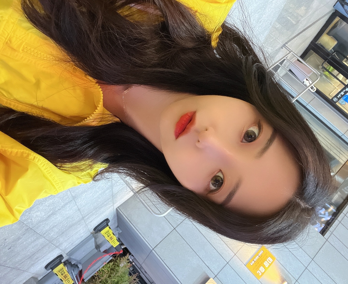 피카츄⚡️