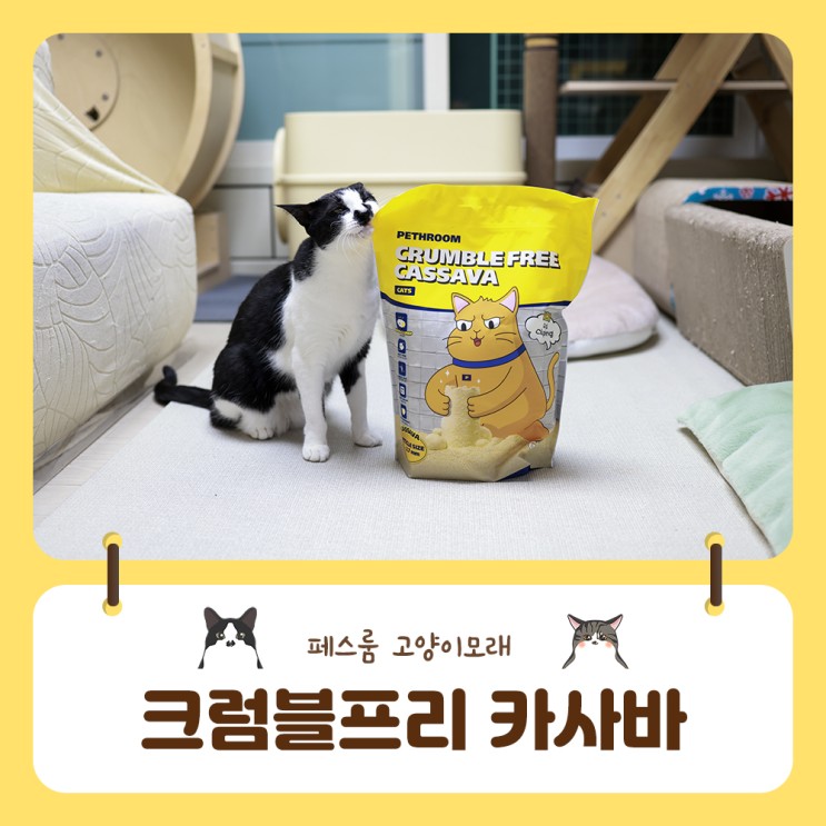 먼지없는 고양이모래 페스룸크럼블프리 카사바로 깔끔한 응고력을 경험해요