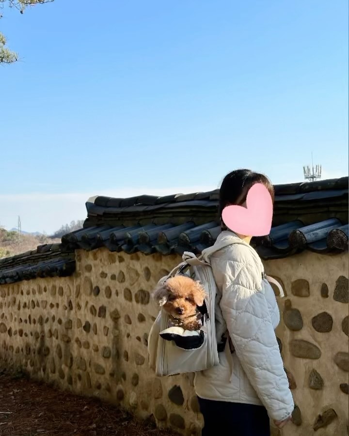 #어답트미연구원

언니는 산을 타고〰️⛰️
나눈 쉽고백팩을 타고〰️🎒

가슴끈과 허리벨트로 무게분산은 확실히🤍
뭐라구⁉️ 언니❓나 안타고 있냐규우❓
언니 등에 착붙고 마름모꼴 무게 분산으로
내가 안 탄줄알았나봐아🤭

탄탄한 바닥으로 처짐도 없규!
흔들리지 않는 에이..스.....쉽고백팩😉🎒💗

이제 나 맨날 쉽고백팩 타고 다녀야지이〰️💛

뿌꾸야 그건 좀... 생각 좀 해보쟈...🤦‍♀️

📮 무게중심을 과학적으로👩‍🔬 흔들리지 않는 쉽고백팩🎒
 강아지 백팩계의 움직이는 에이스침대🛏️

🏷️ adoptme.co.kr 

#강아지가방 #강아지이동가방 #강아지백팩 #어답트미쉽고백팩