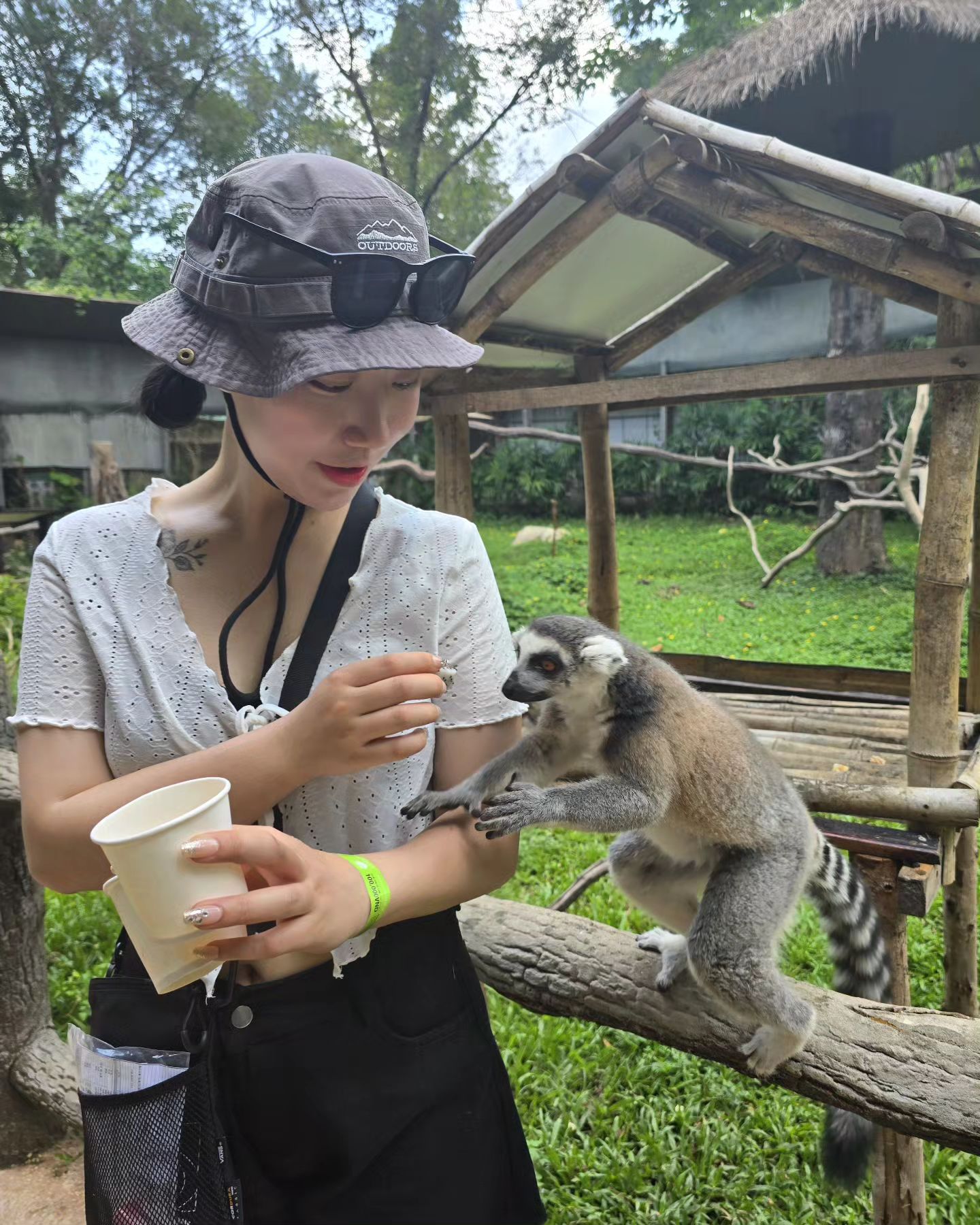 마가가스카르 여우원숭이 🐵