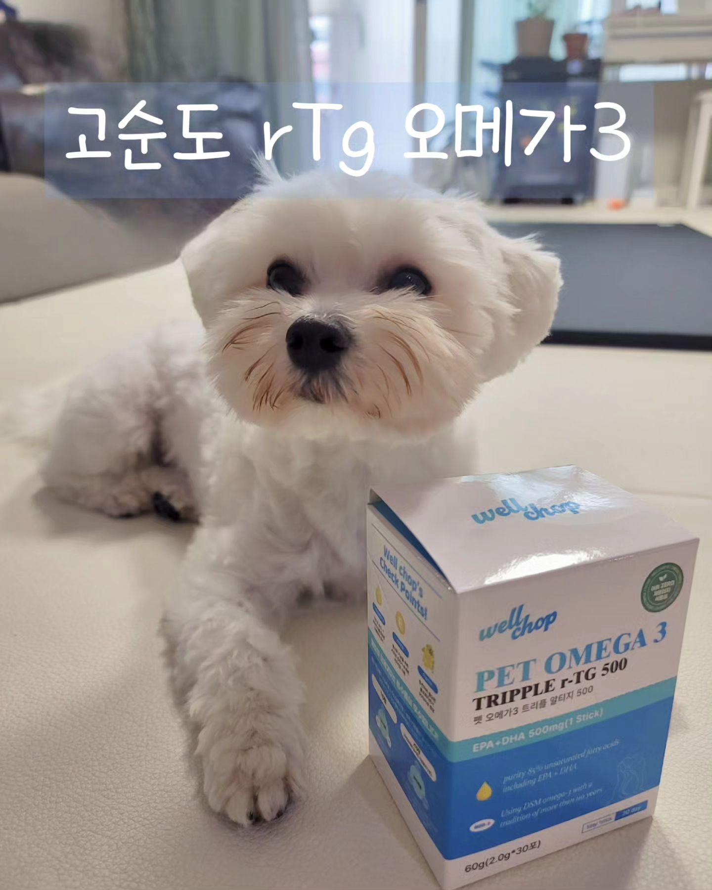 #협찬#펫오메가3#웰찹

#강아지오메가3 입니다.
저도 애오 눈물때문에 오메가3 영양제
여러 브랜드 급여 해 봤는데요.
보통 트릿형태로 되어 있는 제품이 많다보니
순수 오메가3 보다는 기호성과 편리함을 위해
전분이라던지, 고기같은 첨가물이 들어가잖아요.
이렇게 되면 순수하게 오메가3가 아이라서
오메가3에 대한 기대효과도 줄어들고,
다른 성분에 부딪혀서 눈물이 오히려 터지는 경우도 있어요.
이 웰찹 제품은 일단 오메가3 오일만 있구요,
개별포장 되어있는 점이 아주 마음에 들었습니다.

✅️ rTg오메가3 제품이에요.
EPA + DHA 500mg 의 고순도 오메가3입니다.
✅️ 저알러지 제품이라, 알러지에 약한 애오에게도 오케이.
미세조류 추출로 오메가3 특유의 어취가 거의 나지 않습니다ㅡ

영상에서 보시면 아시겠지만 
입에 그대로 넣었더니 애오가 막 움직여서요 ㅠ
제가 아직 애송이라 ㅎㅎㅎ
털에 오메가3 기름이 다 묻어서 이 날 목욕했어요 ㅠ
사료나 간식에 쭉 짜주시면 가장 좋아요.
애오는 사료를 잘 안 먹고 남기는 경우도 있고 해서
손에 덜에 주니 찹찹 잘 먹었어요.

지금껏 급여한 오메가3 중에 가장 마음에 듭니다.👍👍
wellchop_official