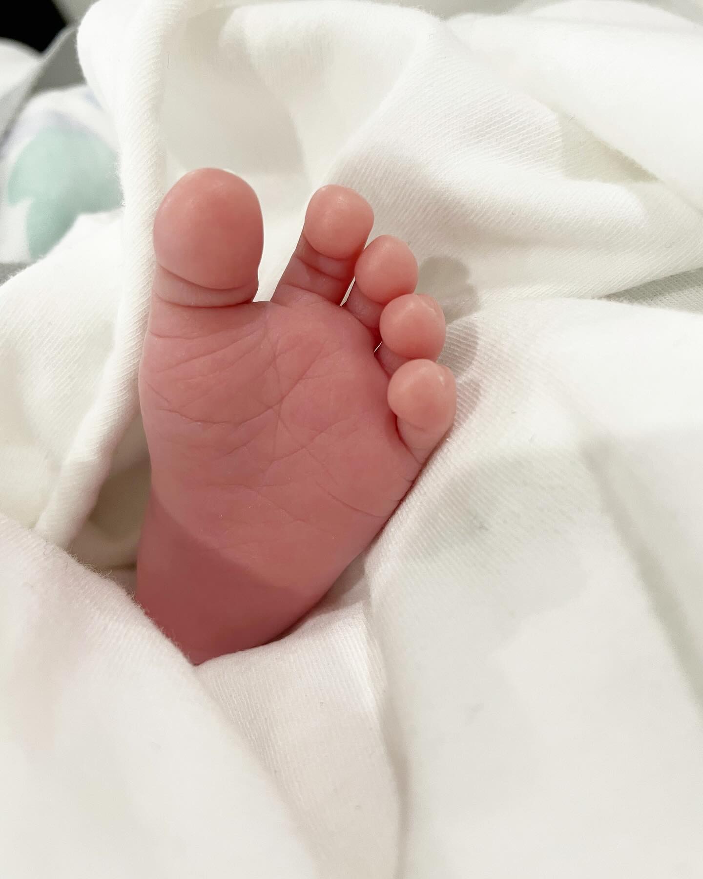#일상

쪼꼬미 발바닥 👣💕
우리집에 온 걸 환영해 랑이야🙈