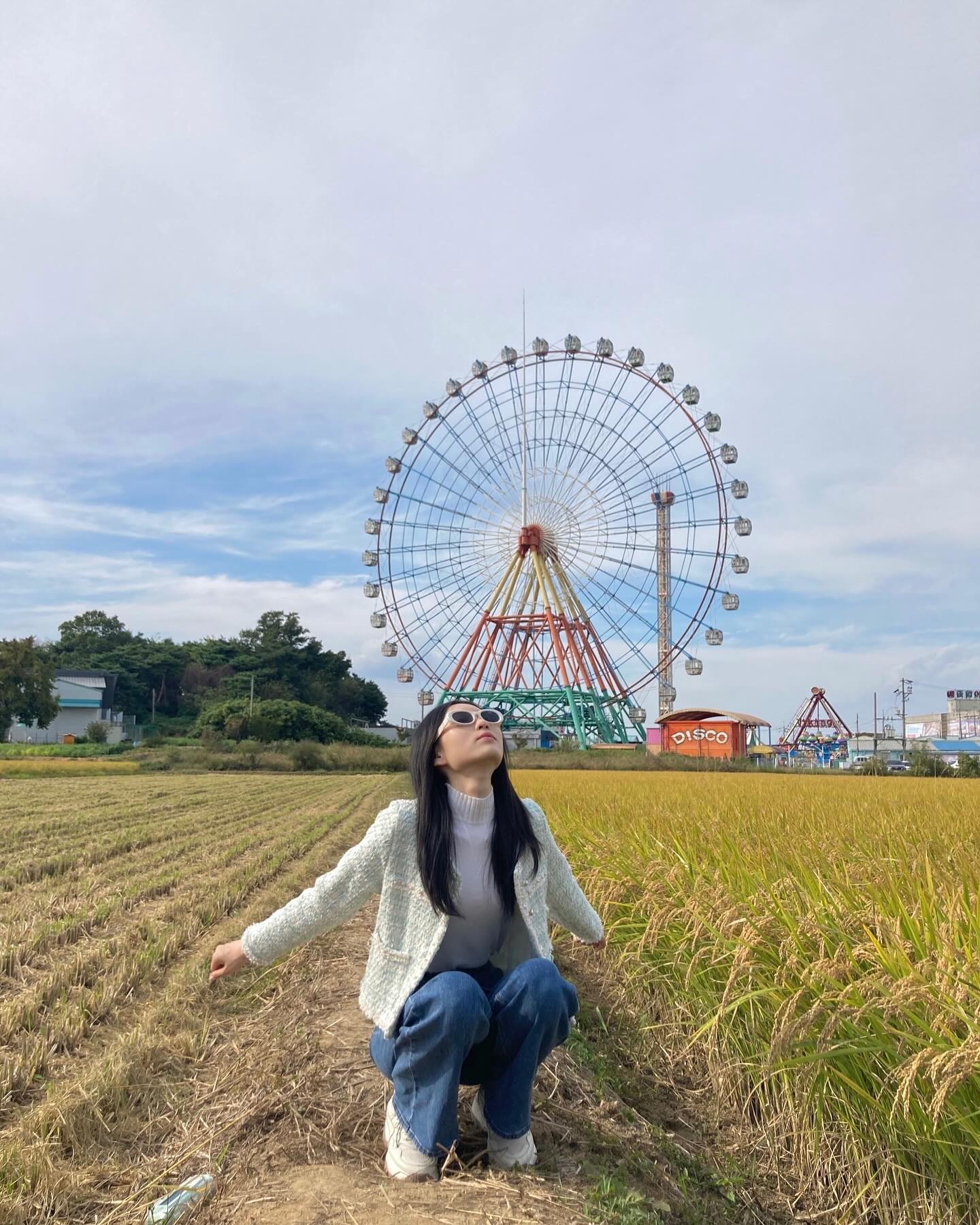 🎡🌾☁️💚