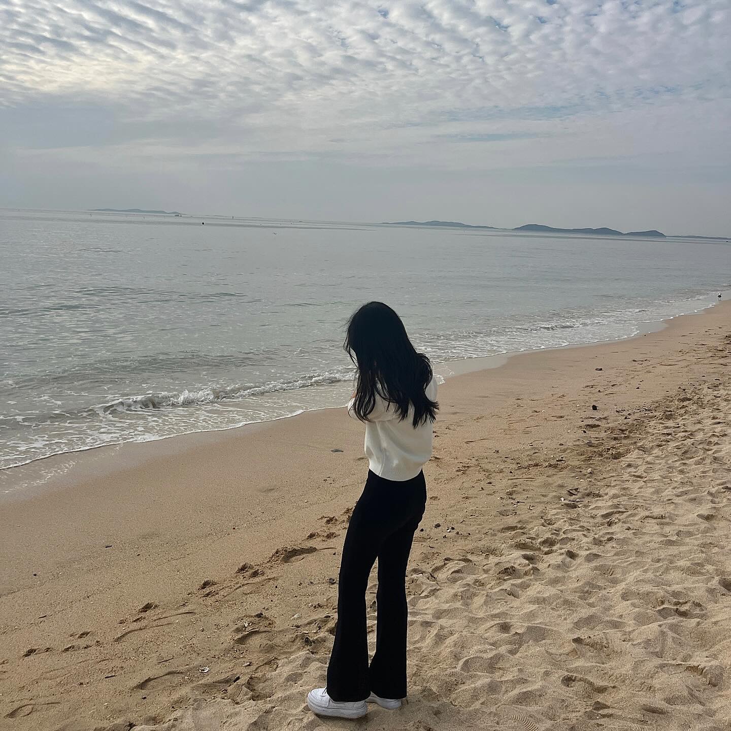 Off날 대천 해수욕장 🌊