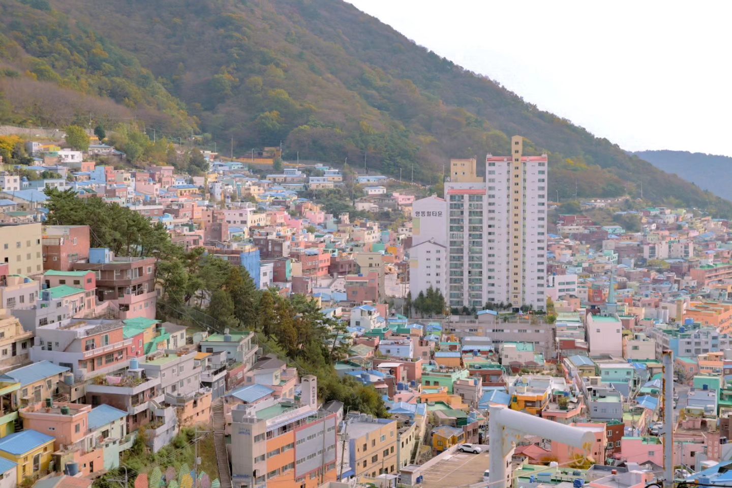 날이 맑을수록 아름다운 감천 문화마을
보정 어려워서 엄두도 못내다가 드디어 완성