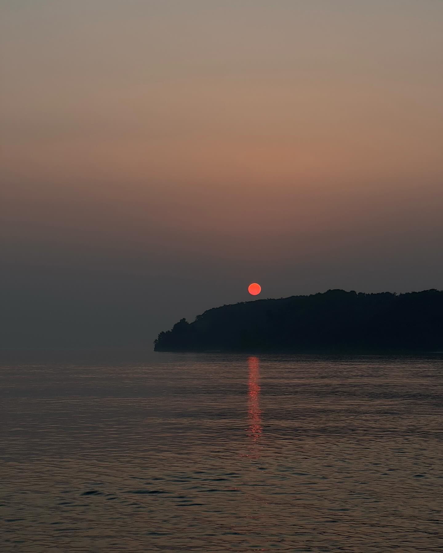 콘텐츠