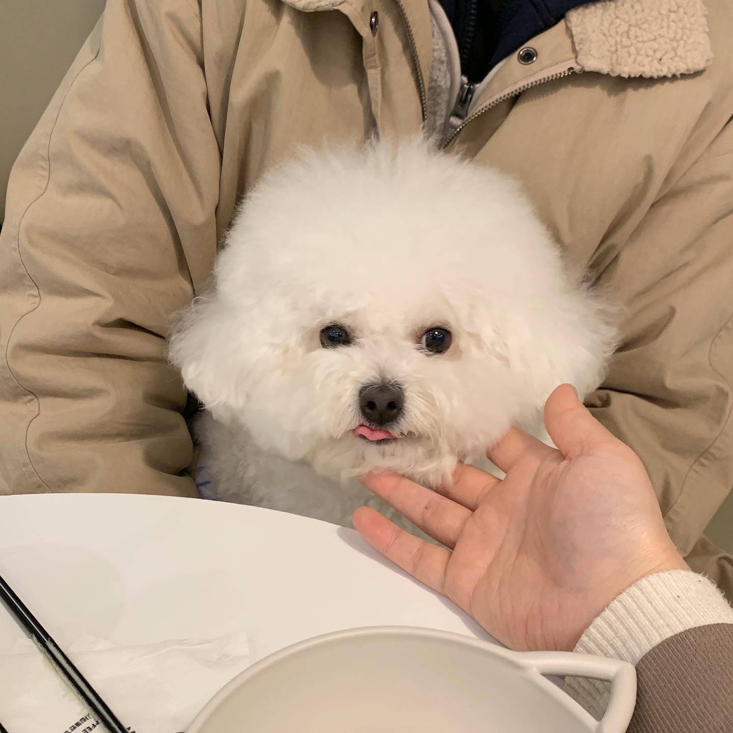 이번주도 자알 놀았지! ( ˶'ᵕ'˶)
