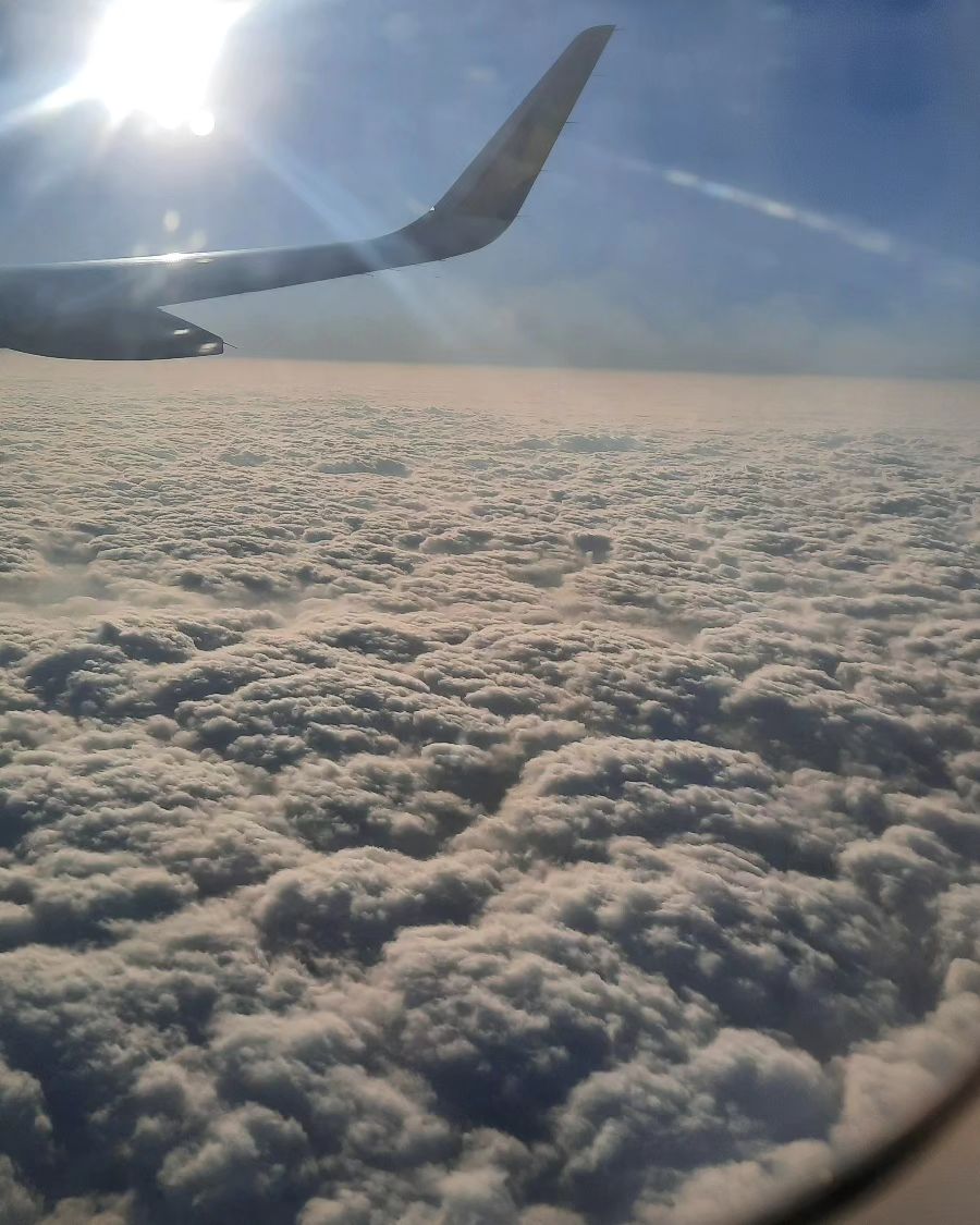 .
pm4 ✈️
저녁에 도착한 상하이
첫날 늦은 저녁 메뉴는 마라훠궈
정말 한국에서 먹은 마라탕은 진정한 마라가 아니었다..
말그래로 혀가 마비되는 얼얼함 그자체
.
내일부터 열심히 다녀보자🔥
.
.
.
#haidilaohotpot 
#shanghai