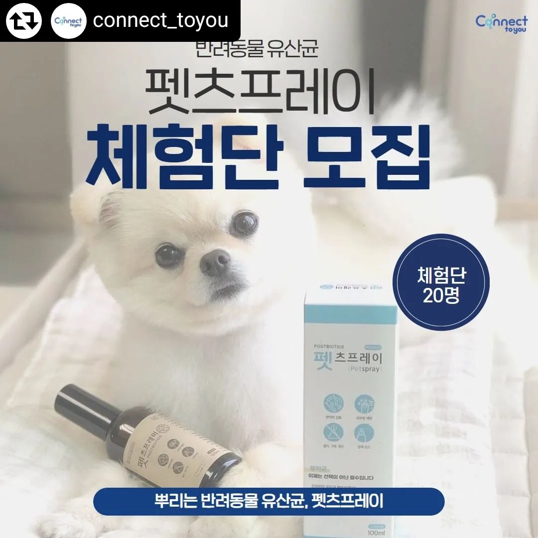 #리그램 - connect_toyou by get_regrammer
#EVENT 컨넥투유 펫츠프레이 체험단을 모집합니다 💙

칙칙! 간편하게 뿌려서 먹이는 프리미엄 유산균 펫츠프레이 한 병으로 3개월간 유산균 걱정 끝! 😎 

강아지, 고양이의 건강은 장이 결정한다는 사실! 더 늦기전에 우리아이 건강 챙겨주세요 ☝🏻

📌체험단 간단 지원방법 📌
1. 본계정 connect_toyou 팔로우, 본 게시글 좋아요
2. 댓글로 유산균 #펫츠프레이 가 꼭 필요한 이유와 간단한 사연 작성하면 끝! 

📍 체험단 선정 후 미션 
제품 체험 후 인스타그램에 전달드리는 가이드에 맞춰 리뷰 작성(작성 가이드는 DM으로 개별적으로 전달드리겠습니다)

📍 모집기간
2024년 6월9일(일)~6월 16일(일)
1주일간 모집합니다 :) 

📍 당첨자 발표
2024년 6월 17일(월)
(개인 dm으로 전달예정)

💙당첨 확률을 높이려면?💙
*본 게시글 리그램
*댓글에 친구 소환
*스토리에 해당 게시글 공유

💙 펫츠프레이, 이런 아이들에게 필요해요!💙
1. 평소 장기능이 약해 변비, 묽은변 등의 고민이 있는 아이들
2. 입맛이 까다로워 가루형, 고체형 유산균을 잘 먹지 못하는 아이들 (무색투명 액체형 유산균으로 먹는 물, 사료에 칙칙! 뿌려만 주면 끝!)
3. 소화 기능이 약해 잘 토하거나 캑캑거림이 잦은 아이들
4. 다이어트 중인 아이들
5. 피부병, 헤어볼, 털빠짐 등의 고민이 있는 아이들 (피부에 분사가 가능한 올인원 제품입니다🙂)
6. 활동량이 적고 나이가 많은 아이들

✔️유의사항✔️
1. 비공개 예정은 참여 불가능합니다.
2. 작성해주신 리뷰는 펫츠프레이 마케팅 활동에 활용될 수 있습니다.
3. 기존 체험단 중복 참여 가능합니다.

스마트스토어 홈페이지는 connect_toyou 인스타 계정 프로필에서 확인 가능합니다 🥳🤍

문의사항은 DM으로 남겨주세요 💌

#강아지 #고양이 #이벤트그램 #event #체험단모집 #체험단 #이벤트 #강아지유산균 #고양이유산균 #반려동물유산균