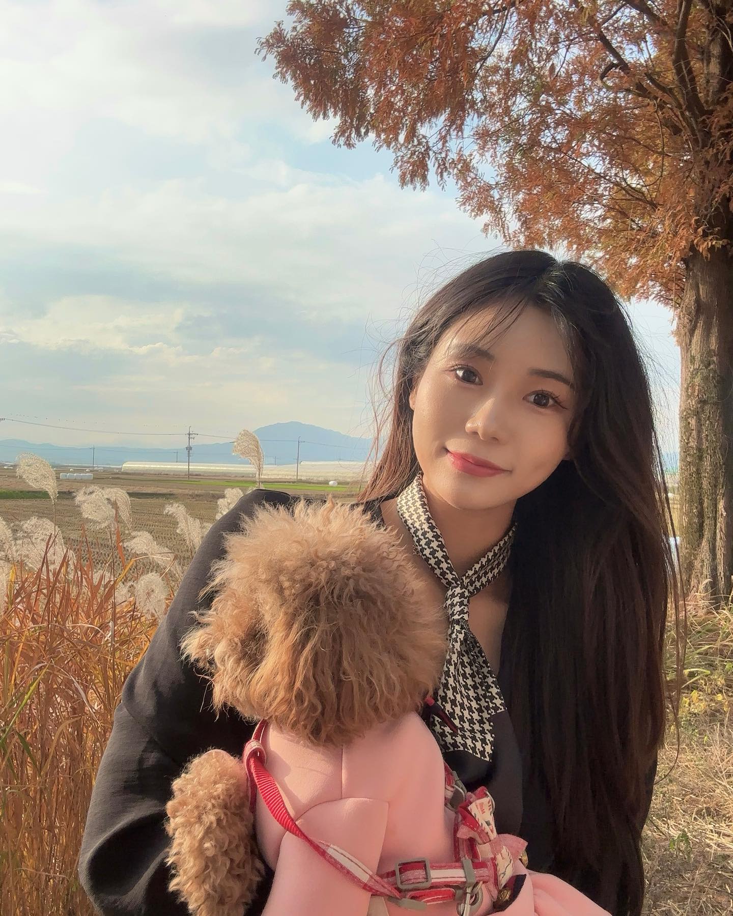 #창원 #창원단풍 #죽동마을

아직 단풍 구경못가신분들 🍂🙋🏻
무조건 저장해주세요〰️✔️

🏷️창원 죽동마을 메타세콰이어길🍃

어제 11월4일 토요일에 갔는데,, 
아직 단풍이 덜 피었더라구요🫠

✔️11월 중순이 가장 예쁘데요🦋🤎
아직 구경 못하신 분들,, 늦지 않았어여🫣

즈희집 공쥬랑🐻 드라이브 다녀오기 좋았던 ෆ 

✨주의: 차가 쌩쌩오니 차조심..😵🚙

💟네비: 창원죽동마을메타세콰이어길
주차: 초입부분에 차 주차하기 ✔️
(메타세콰이어길 중간중간에 주차한 분들도 꽤나 있었어요 ! )