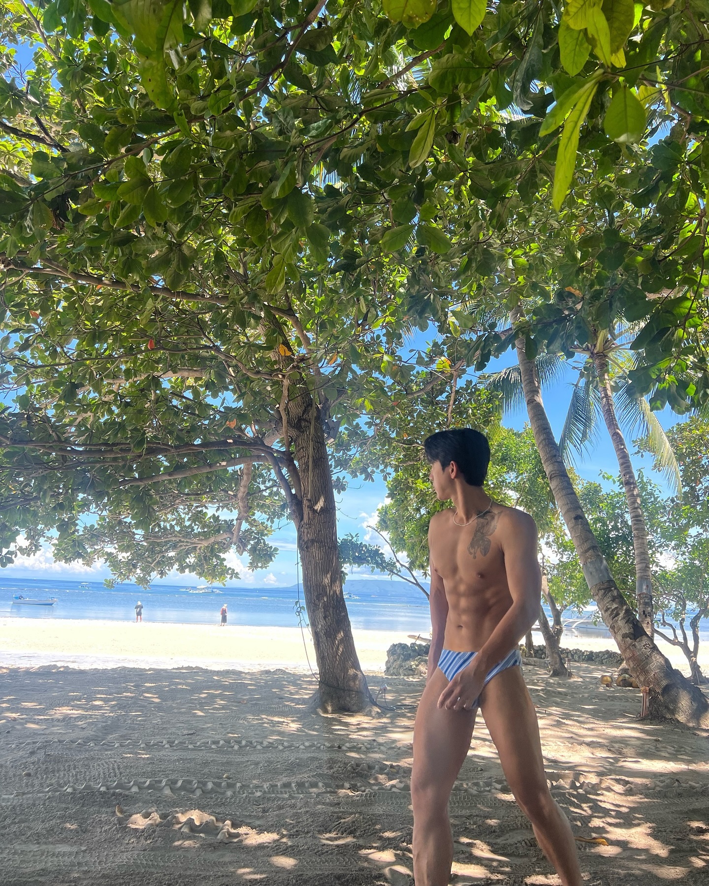 🌴🥥🥥🥥