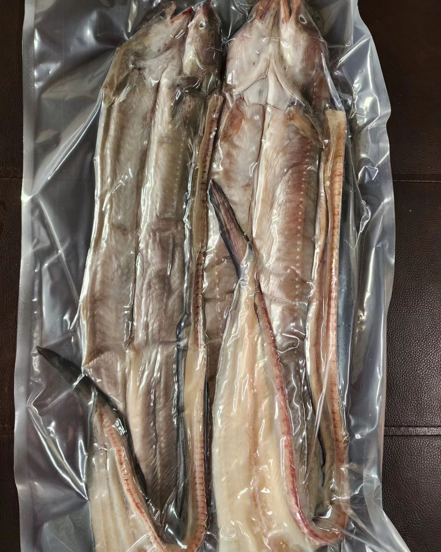 완도 자연산 특대장어 2마리 무료배송
34000원 

#갯장어#붕장어#아나고#하모#장어구이#장어탕#장어국#어르신선물#부모님선물#구정선물#새해선물#구정선물세트#선물추천#완도산#산지직송#자연산#완도아가씨#구매문의는dm주세요#구매문의