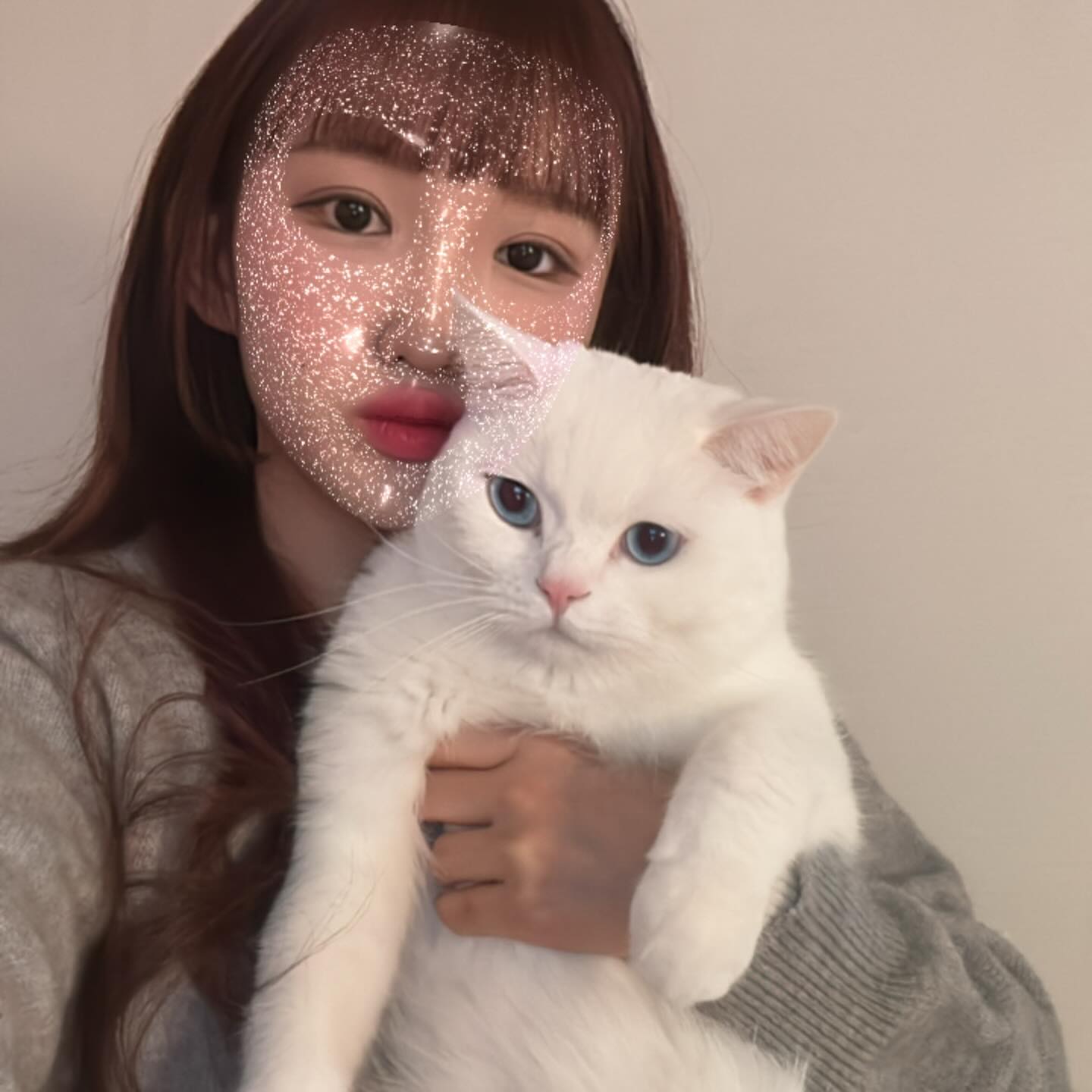 우리집 고양이 사진을 싫어해