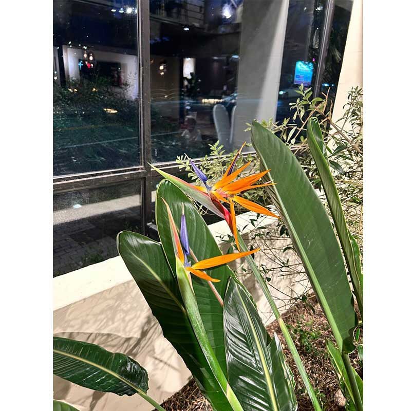넘나 환상적인 #벨빌베이크하우스 팔공산점 가봤어요 ㅎ
베이커리, 브런치가 맛있는 
예쁨이 가득한 루프탑카페인데 
브런치 시그니처 메뉴가 있고
모든 소스 수제로 직접 끓여 만든 
파스타, 바게트도 맛있답니다 🍝

🪴야외테이블을 갖춘 공간과 
실내 작은 식물원이 있어 모임하기 좋네요 !! 
🦮 애견동반도 되어서 겸댕이랑 나들이 오기도 좋고 
직원들이 친절하셨어요 ^^

식사도 가능하고 간단하게 차, 베이커리도 먹을 수 있고 ~
앞으로도 계속 기대되는 #팔공산맛집 이네요
넓어서 좌석도 많아 분위기가 
왁자지껄하지 않고 너므 좋네요 *.* 

.

.

.

#팔공산카페 #팔공산브런치카페 #대구바게트 #대구#팔공산브런치맛집 #대구맛집#팔공산파스타맛집 #팔공산바게트맛집 #팔공산대형카페 #팔공산애견동반카페 #대구애견동반카페
#대구가볼만한곳 #대구브런치맛집 #대구바게트 #협찬
