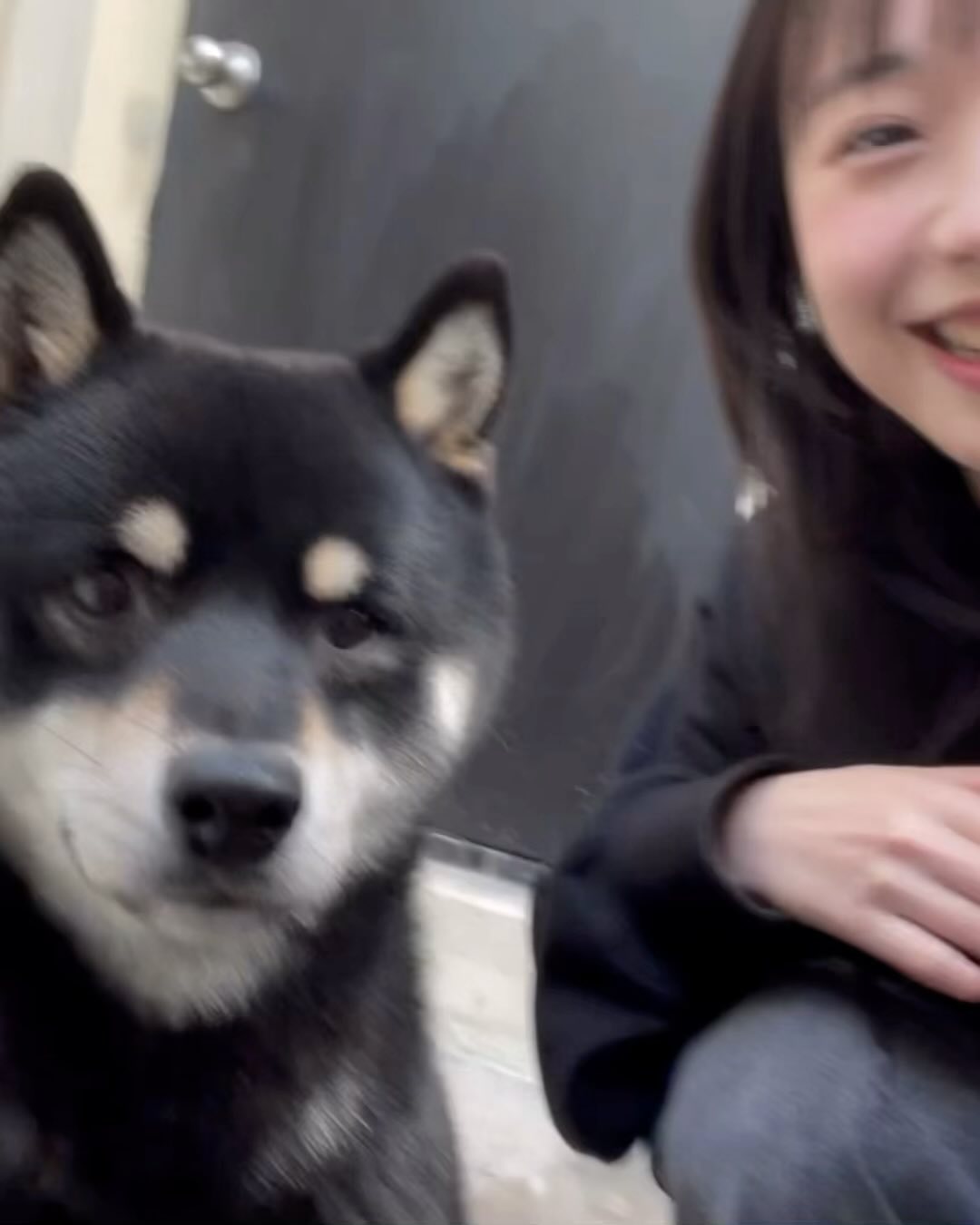 귀여운 녀석...🐶
