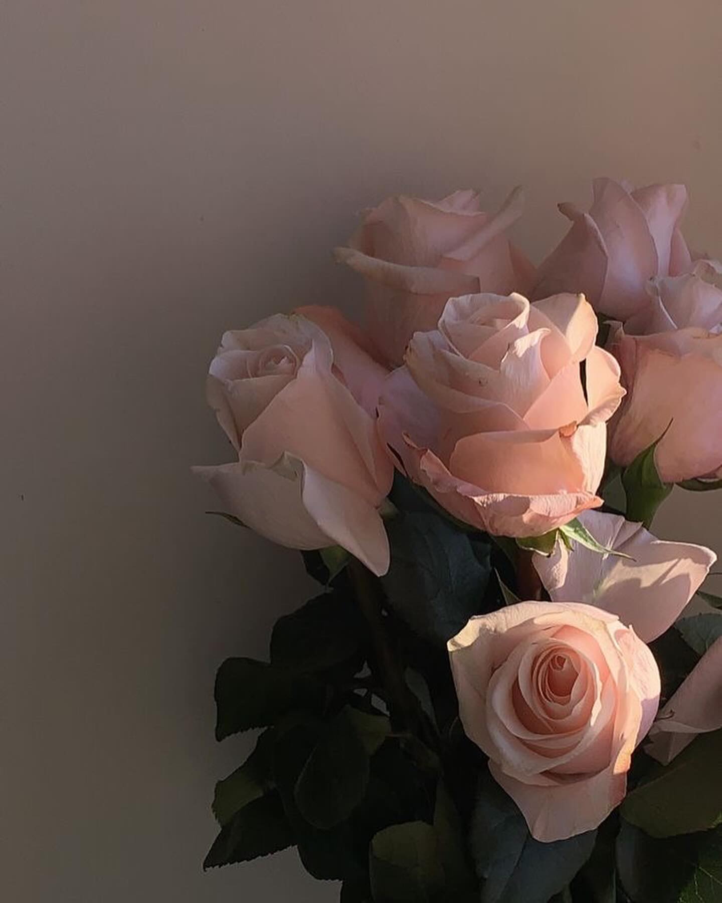 ♥