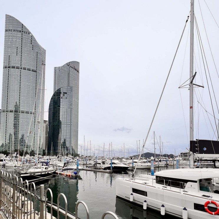 🛥️해운대 요트 투어 “요트와”🛥️