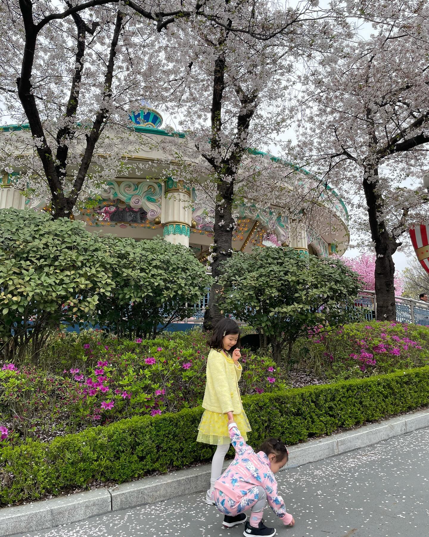 🌸약 1년만의 피드🌸

.
.
.

저 지난주에 퇴사했어요!!!!!!!
휴식시간이 생겨 정말 오랜만에 피드를 올려보네요
그동안 눈으로만 인스타 보고 종종 스토리 올리는게 다였는데 근황을 적어보고자 왔습니다><
이번주만 쉬고 다음주부터 새로운 곳에 첫 출근이라 아마 오늘 이후로는 또 한동안 글 못올릴 것 같아요ㅠㅠㅠㅠㅠ

리원이는 무럭무럭 자라서 어느덧 27개월이 되어있답니다 ㅎㅎ
자기주장도 강해지고 고집도 세서 힘들 때가 많지만 그만큼 말도 잘해서 진짜... 너무 깜찍하고 사랑스러워욬ㅋㅋㅋㅋㅋㅋㅋㅋ 허허..

그리고 작년에 이사를 해서 올 3월부터 이사온 아파트 단지 내 어린이집으로 옮겼는데 약 한달이 지난 지금, 아직도 여전히 얼집 적응 중이에요
그래도 지난주부터는 울면서 들어가진 않아서 마음이 좀 덜 아프네요😂

요즘 벚꽃시즌이라 피드에 다들 벚꽃사진을 올리셨길래 저도 주말에 대구 본가에 다녀온 사진 올려보아요!
이번 한주도 모두 화이팅💪🏻💪🏻💪🏻💪🏻💪🏻

.
.
.

#소띠맘 #흰소띠맘 #소띠아기 #흰소띠아기
#딸맘 #소띠맘소통 #소띠딸 #육아맘
#생후27개월 #27개월아기
#소통 #육아소통 #육아소통환영