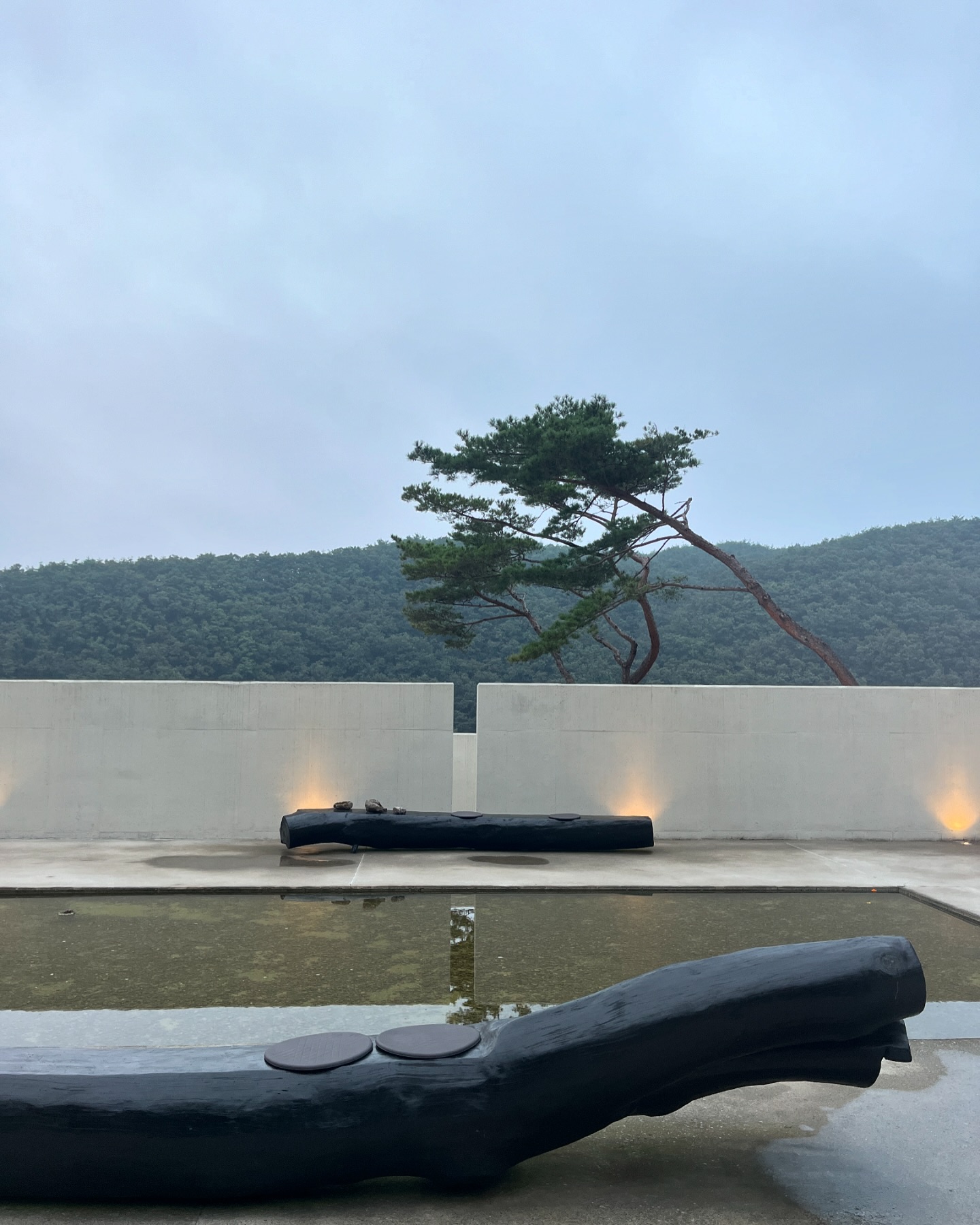 추석이랄까

#추석 #울산 #묵리459 #맷차 #가족