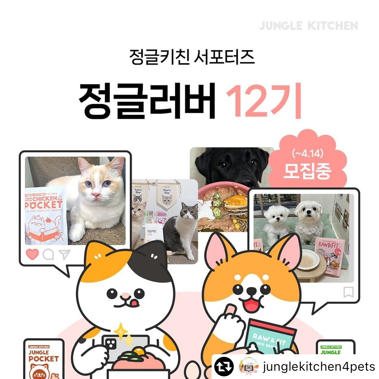 #리그램 - junglekitchen4pets by get_multi_repost
[서포터즈 정글러버 12기] 
모집 O/P/E/N!

생식에 진심💛 9년차 
👑1등 생식 정글키친의
서포터즈가 되어 주세요~

──────────────────

💛모집 대상💛

• 우리 아이 건강과 식사에 관심이 높으신 분
• 𝗦𝗡𝗦활동에 적극적이신 분
• 𝟯개월동안 솔직담백 의견과 후기에 자신있으신 분

✅ 모집기간 〰️ 2024. 4. 14. (일)
✅ 발표(예정) 〰️ 마감 후 𝟯주 이내

➖

💛혜택 & 활동 💛

❶ 활동기간 𝟯개월 간, 직접 고른 제품 후기🛍
(정글키친&로우앤핏 전제품 대상)

❷ 매월 𝟯건 필수 포스팅

❸ 활동 지원금 >> 𝟯𝟬만원!🥇

❹ 우수 활동 >> 베스트 서포터즈 시상🏆
한 기수 연장! or 추가 적립금👑

❺ 지인 추천 혜택 >> 서포터즈 𝟭인 당 총 지인 𝟯명까지, 
생식 무료 샘플 선물 바우처 제공

➖

💛모집 인원 💛

🐱냥님 𝟭𝟬팀 🐶멍님 𝟭𝟬팀, 총 𝟮𝟬팀 신규 모집✨

➖

💛신청 방법 💛

❶ 본 계정 【팔로우】
❷ 게시물 【리그램】
❸ 【강아지 or 고양이(택1)】
+ 【신청 사연】 + 【친구 소환】 🙌🏻
+ 【활동 약속할 𝗦𝗡𝗦 계정명(또는 링크/정확한 작성 필수)】

예) 강아지 + 소문내기 자신있는 멈머 여기있습니다!
+ @친구계정 + 유튜브 멈머네 활동중입니다~

(※ 멍냥 동반가정도 지원 가능 / 단, 𝟯개월 간 ‘지속 급여’할 ‘주요 활동’ 강아지 또는 고양이를 반드시 지정해주셔야 정상 접수됩니다.)

💡 3개월 전기간 참여가 가능하신 경우에만 지원해 주세요~

💡 중복 응모 불가, 이벤트용, 비공개 계정 참여 불가

──────────────────

✨유명 생식맛집, 다 이유가 있죠!
🏆수만 멍냥들이 생식은 정글키친으로 시작, 정착하는 포/인/트

↓ ↓ ↓

👑 네이버 별점, 실제 구매평으로 입증된 뛰어난 만족도
📑 단순 분쇄육 NO, 미량 영양소까지 꼼꼼히 설계된 완전식 YES! 
📋 철저한 안전성 검증, 영양균형 충족 (농림축산식품부, AAFCO)
🥣 생식 단일품목 전문화, 𝟭𝟬𝟬% 직영 제조
🚚 정기배송 체계까지 갖춘 안정적인 수급,
재고 없이 뛰어난 신선을 유지하는 회전율!

↓ ↓ ↓

👩‍🍳 놀라운 생식의 힘, 기대해보실 수 있어요!💛

“음수량 증가 →  소변 어려움 개선, 감자 풍년🥔” 
“무첨가,무가공 → 풍부한 천연 효소와 뛰어난 영양 흡수율!🙌”
“고단백 균형식 → 근육 증가와 체중 감량에 이점👍”
“튼튼한 장내 미생물 환경 → 예쁜 💩, 면역 및 알러지 개선에 도움!”

#정글키친 #원조생식맛집 #로우앤핏 #강아지보양식 #사료추천 #부드러운사료 #동결건조생식 #애견생식 #강아지생식 #고양이생식 #냥스타그램 #멍스타그램 #고양이이벤트 #강아지이벤트 #서포터즈 #리그램이벤트 #수제사료 #저알러지사료