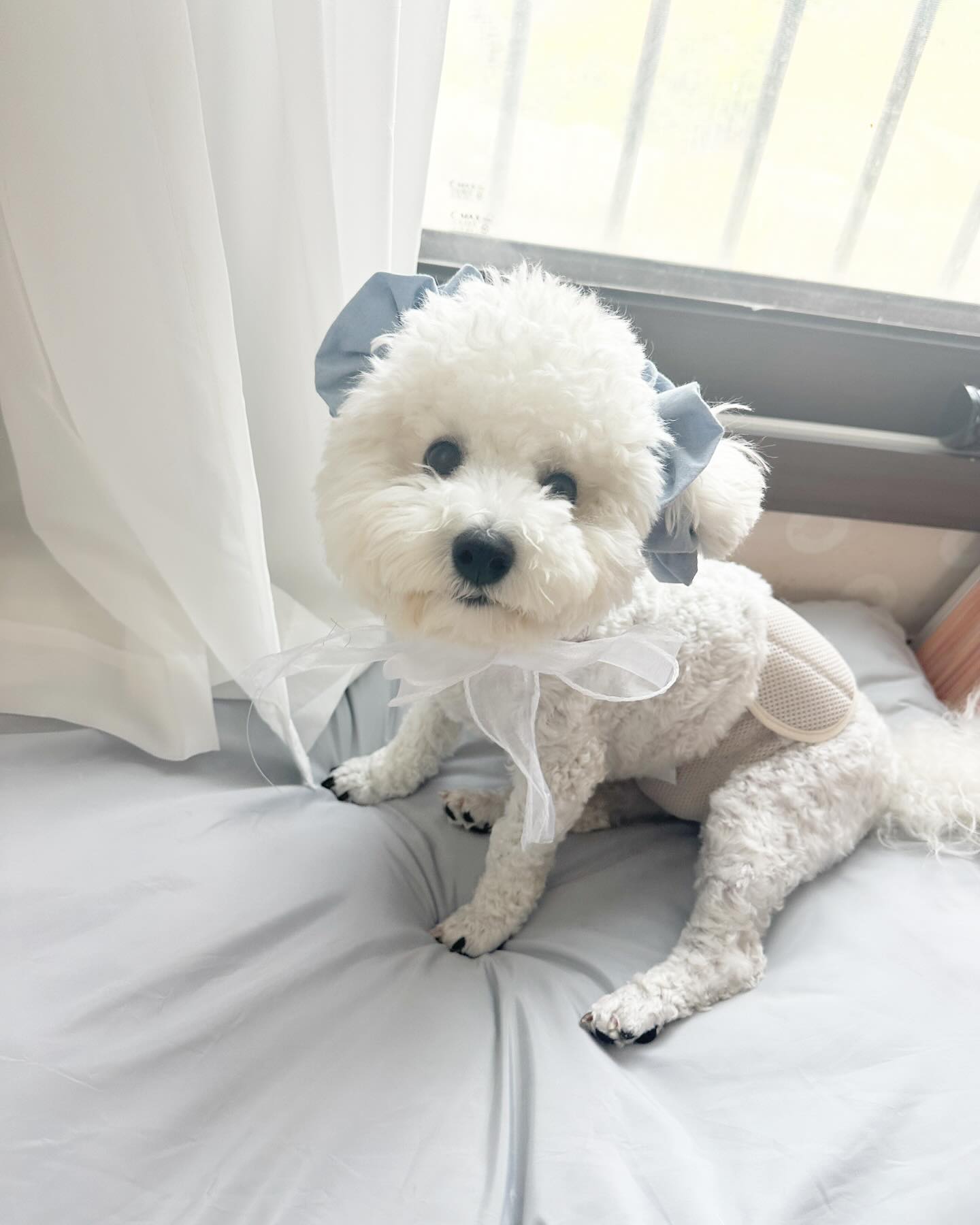 눈나가 깜찍 이어슈슈 만들어죠따
앙큼 왕자야👑