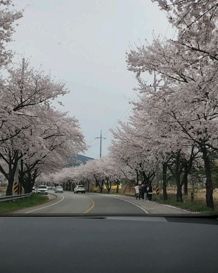 2024.04.06-04.07
24년의 첫캠핑⛺️
계획한 대로 벚꽃캠🌸
날씨가 좋으니 그냥저냥 다 좋지👨‍👩‍👧👨‍👩‍👧

#캠핑 #벚꽃캠 #업그레이드되는 #캠핑요리 #가족캠핑 #두가족캠핑 #유치원때부터친구 #두가족캠핑