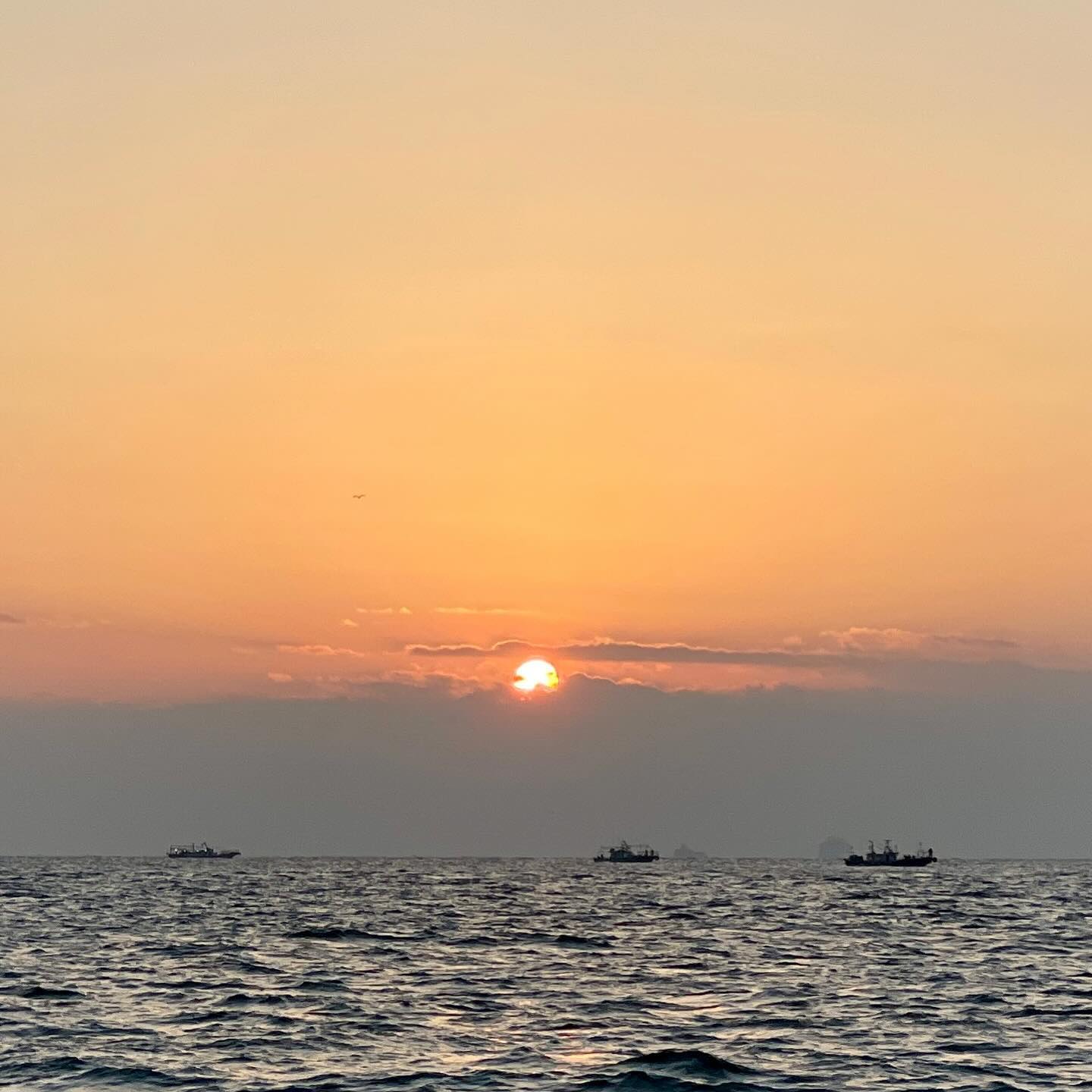 바다에서 보는 🌅
쏘니네👨🏻👩🏻👦🏻✨
건강하고 행복한 부자되쟈잉🫶🏻
⠀⠀⠀⠀⠀⠀⠀⠀⠀⠀⠀⠀⠀⠀⠀⠀⠀ 
(출렁출렁 배멀미로 고생했지만🤮😂)
낚시 또 가고 싶네잉ㅋㅋ🎣
⠀⠀⠀⠀⠀⠀⠀⠀⠀⠀⠀⠀⠀⠀⠀⠀⠀
⠀⠀⠀⠀⠀⠀⠀⠀⠀⠀⠀⠀⠀⠀⠀⠀⠀ 
#2024년해돋이 #20240101 
#유건이네 #유건일상 #유건영상
#바다에서보는일출 #바다낚시 #어복있는여자