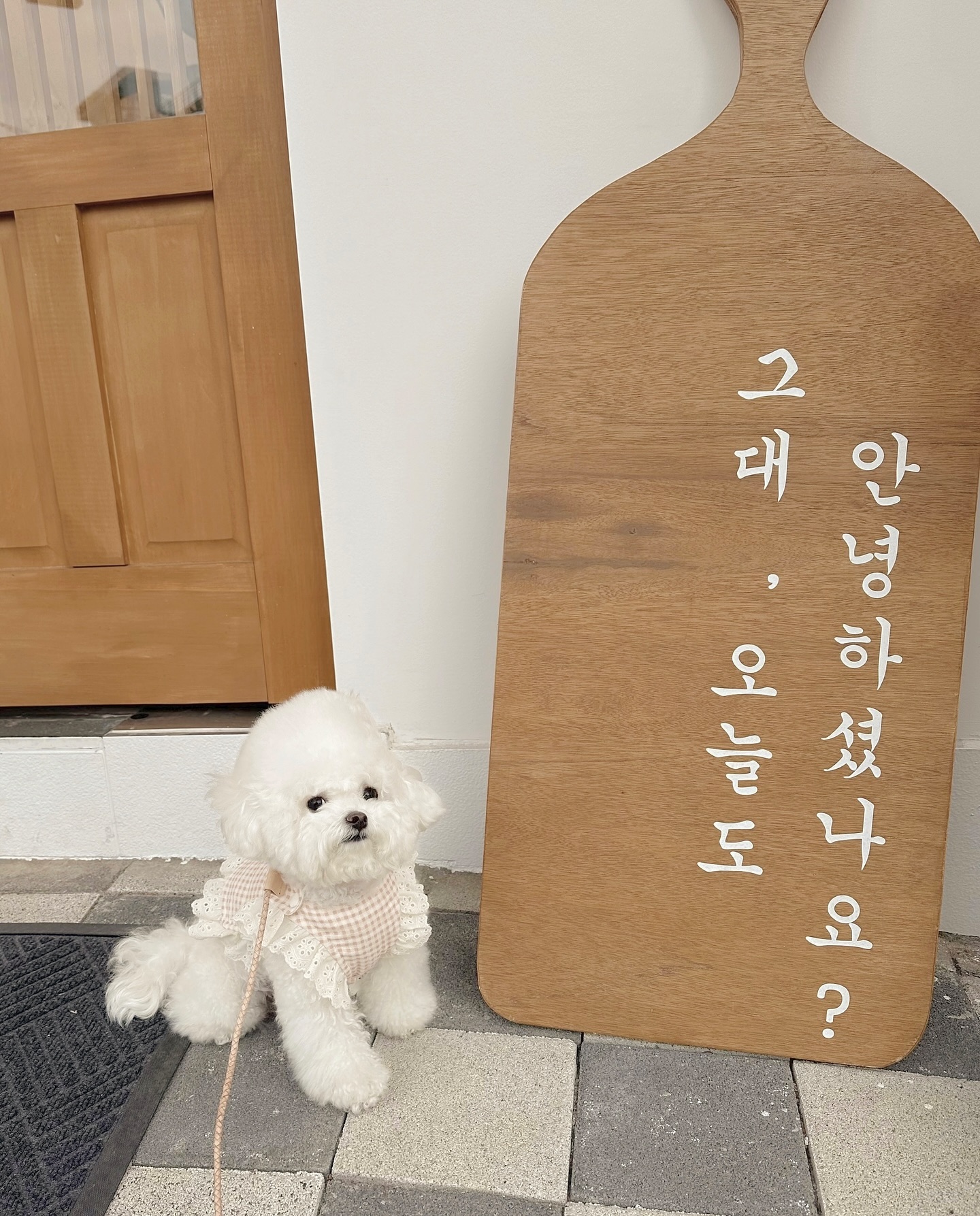 다들 안녕하니?🤍