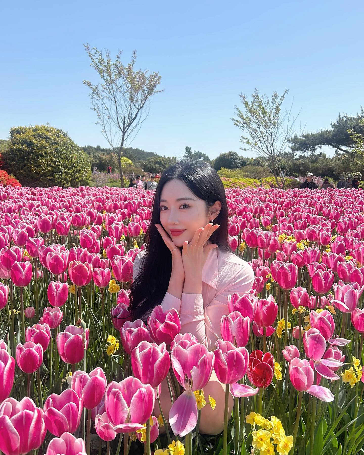 튤립 다 내꺼🌷🌷