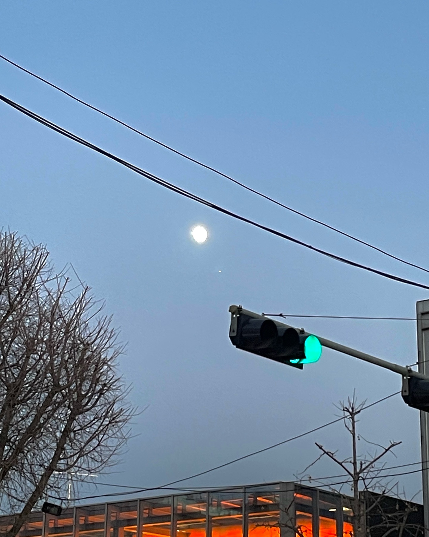 콘텐츠
