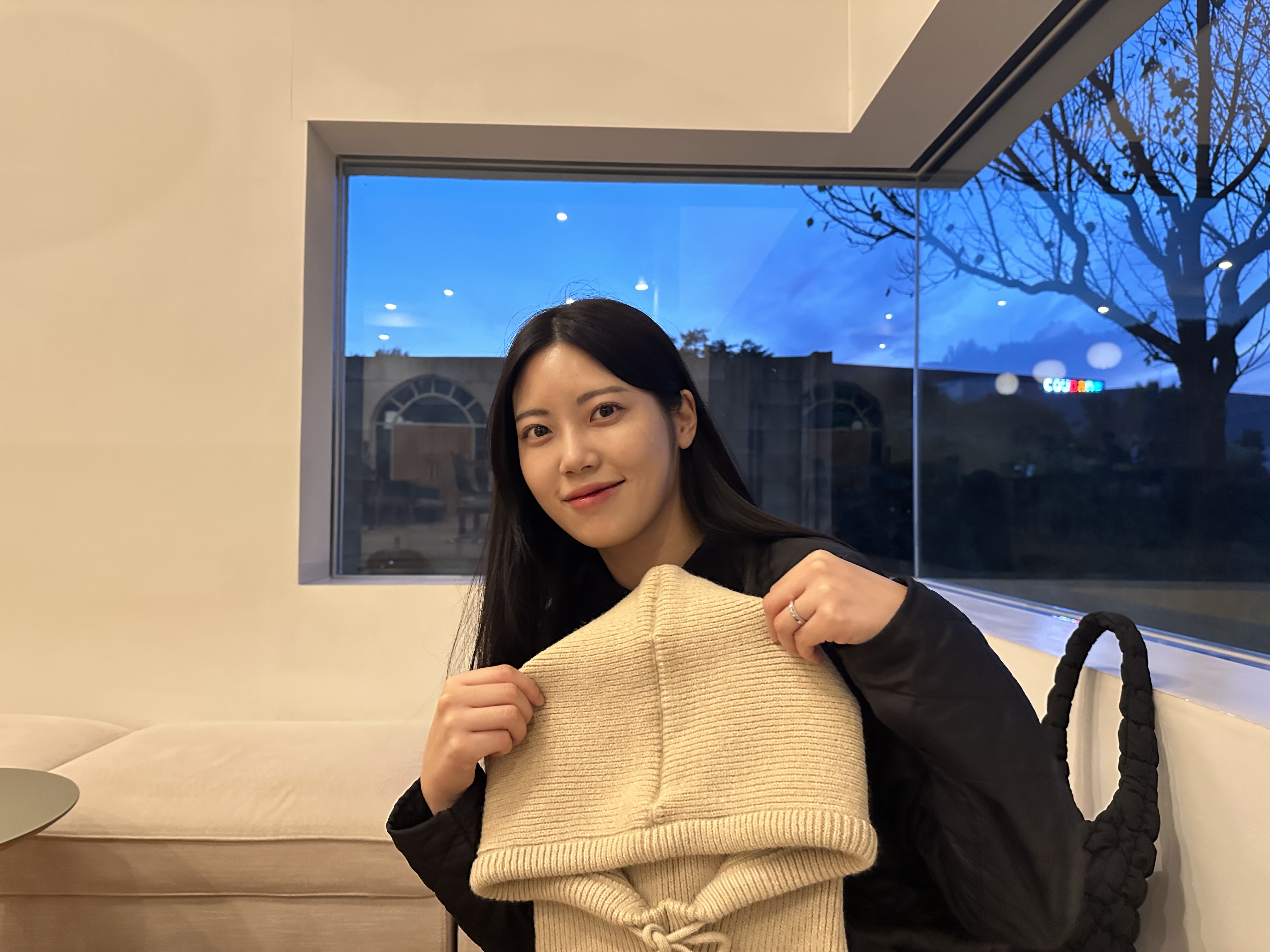 다이서