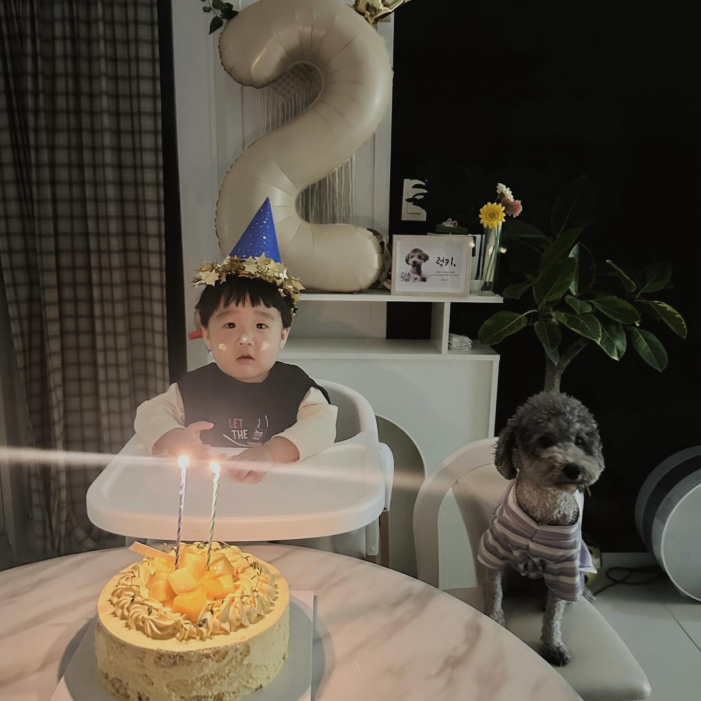 오늘은 사랑하는 지호의 두번째 생일🤍
가족들과 함께 보내서 더욱 행복했던 하루😊

2년동안 아프지않고 건강하게 잘 자라줘서 고마워
앞으로도 가족들과 건강하고 행복하자😍

우리 귀염둥이 김럭키도 같이 생파🎂🥳
럭키 지호 사랑해🫶🏻

#두돌#두돌생일#생일#생일파티#망고케이크
#애개육아#애개육아맘#애개육아소통