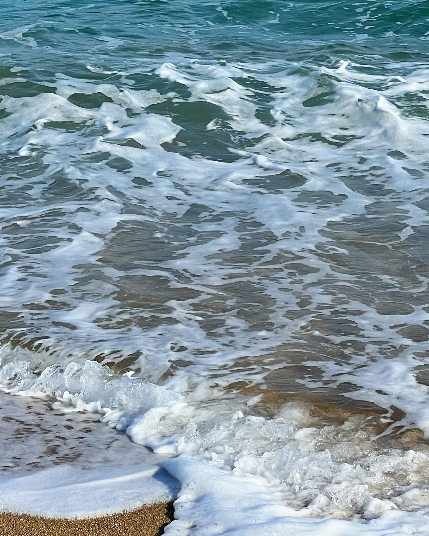 2022년을 속초에서 맞이했던 것처럼 2024년도 🌊

연말 해외여행 계획을 세웠다가 여행 대신 국내에서 꽉꽉 채워 보냈기에
새해는 집에 있을 거라 생각했지만 … 
집에서 점심 먹다가 급격한 따분함(?)에 터미널로 향했다
속초로 갈까 강릉으로 갈까 터미널에 도착해서도 고민하다가
속초는 2분 뒤 출발, 강릉은 10분 뒤 출발인데
속초행 좌석은 단 두 자리만 남아있길래 이건 내 자리다 싶었던거지 

속초에서 우연히 만난 내가 좋아하는 나래언니 & 원식오빠와 너무 즐겁고 좋았던 대화들, 친절하셨던 호텔 사장님, 적당히 춥고 맑았던 날씨
그리고 언제 봐도 좋은 바다 🌊🌊🌊

모든 게 HAPPY NEW YEAR 라고 말해준다