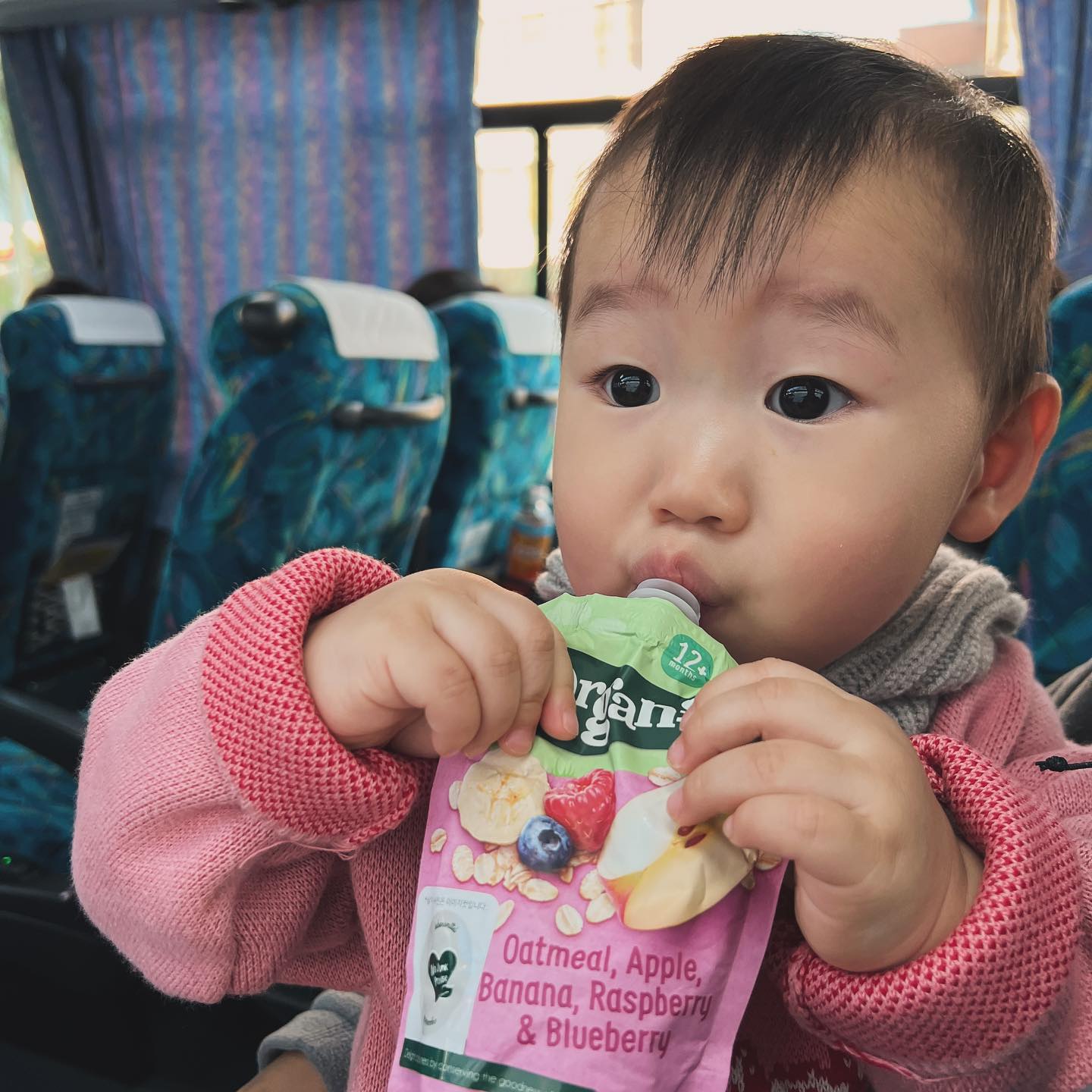 오가닉스공구중) 먼저 품절된 제품이 많아
구매에 불편드려 죄송합니다 ! 🥲🫶

🔴현재 오가닉스 퓨레 
구매 가능한 제품 안내드립니다 

⭕️망고+배+그래놀라
⭕️사과+딸기+블루베리
⭕️사과+고구마+파인애플

<품절제품⤵️ 1월중 재입고 예정입니다>
❌오트밀+살구+바나나
❌사과+딸기+퀴노아
❌오트밀+사과+바나나+라즈베리+블루베리

⭐️ 좋아하는 제품은 없지만 그래도 강이네서
믿구매해주셔서 감사합니다 ! 🥹
저 여행중에 눙물흘려요 진쯔아……♥️
구매하신 육동님들 금액별 페이백 해드릴게요, 
구매 후 구매내역 DM으로 남겨주세요 ♥️🫶 

🍯2만원이상 1000원/4만원이상 2000원
🍯6만원이상 3000원/10만원이상 5000원