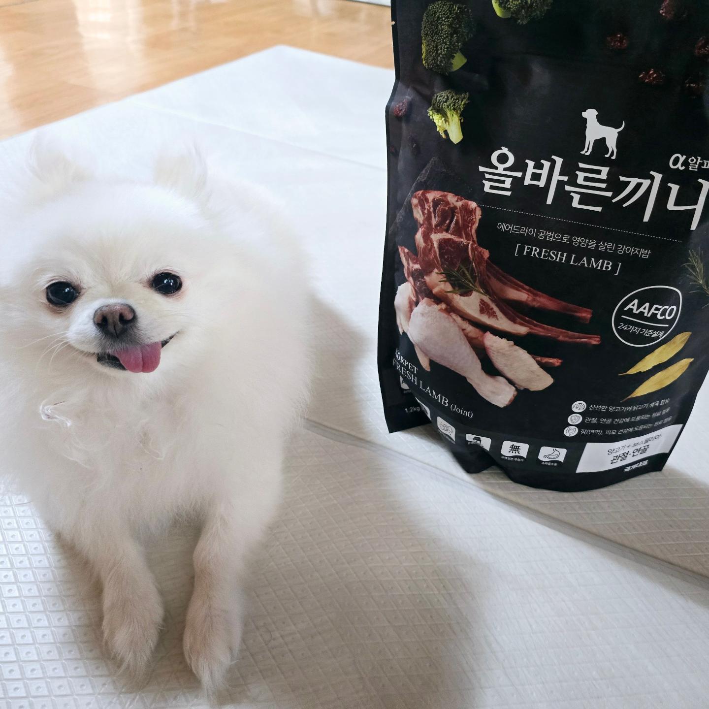 #협찬
신체의 성장과 유지에 좋은 양고기 생육으로 만든
국개대표 올바른끼니 알파 양고기 보스웰리아🐶

풍부한 단백질, 낮은 칼로리의 양고기 생육을 주원료로 사용하여 신선하고
미국사료관리협회인 AAFCO 기준에 맞춰 24가지 충족하여 만들어 안심하고 급여할 수 있는데요🐾

1차로 증기로 쪄내는 방식으로 수분율 유지시켜주고 2차로 건조 해 유해균 제거 및 소화흡수율을 높인데다가
독보적인 스팀드라이 공법으로 영양소 파괴는 최소화 하였어요❤️

신체의 성장과 유지에 좋은 양고기 생육 함유하여 기호성이 좋은것은 물론
먹기 좋은 사이즈와 3가지 모양으로 먹는 재미까지 살리고
말랑쫄깃한 식감으로 치아에 무리가 가지 않고 원활한 소화흡수까지!😘👍

💪관절건강에 도움을 주는 보스웰리아, 상어연골, 글루코사민과
🙌근육, 피모, 장건강에 도움을 주는 산양유, 오메가3, 프락토올리고당!
💊필수 비타민 13종과 미네랄 6종까지!
이정도면 영양제도 따로 필요없는거 아니냐구~~😆👍

➡️ 국개대표 coreadog
➡️ 구매링크 https://www.coreadog.com/shop shopdetail.html?branduid=10548539

#국개대표올바른끼니알파 #강아지관절사료 #강아지양고기사료 #강아지기능성사료 #올바른끼니알파 #국개대표신제품 #증기로찐강아지밥 #기호성좋은강아지사료 #강아지생육사료 #생육사료 #국개대표 #국개대표올바른끼니알파
#강아지관절사료 #강아지양고기사료
#강아지기능성사료 #올바른끼니알파
#국개대표신제품 #증기로찐강아지밥
#기호성좋은강아지사료 #강아지생육사료 #생육사료 #국개대표 #국개대표올바른끼니알파 #강아지관절사료 #강아지양고기사료 #강아지기능성사료 #올바른끼니알파 #국개대표신제품 #증기로찐강아지밥 #기호성좋은강아지사료 #강아지생육사료 #생육사료