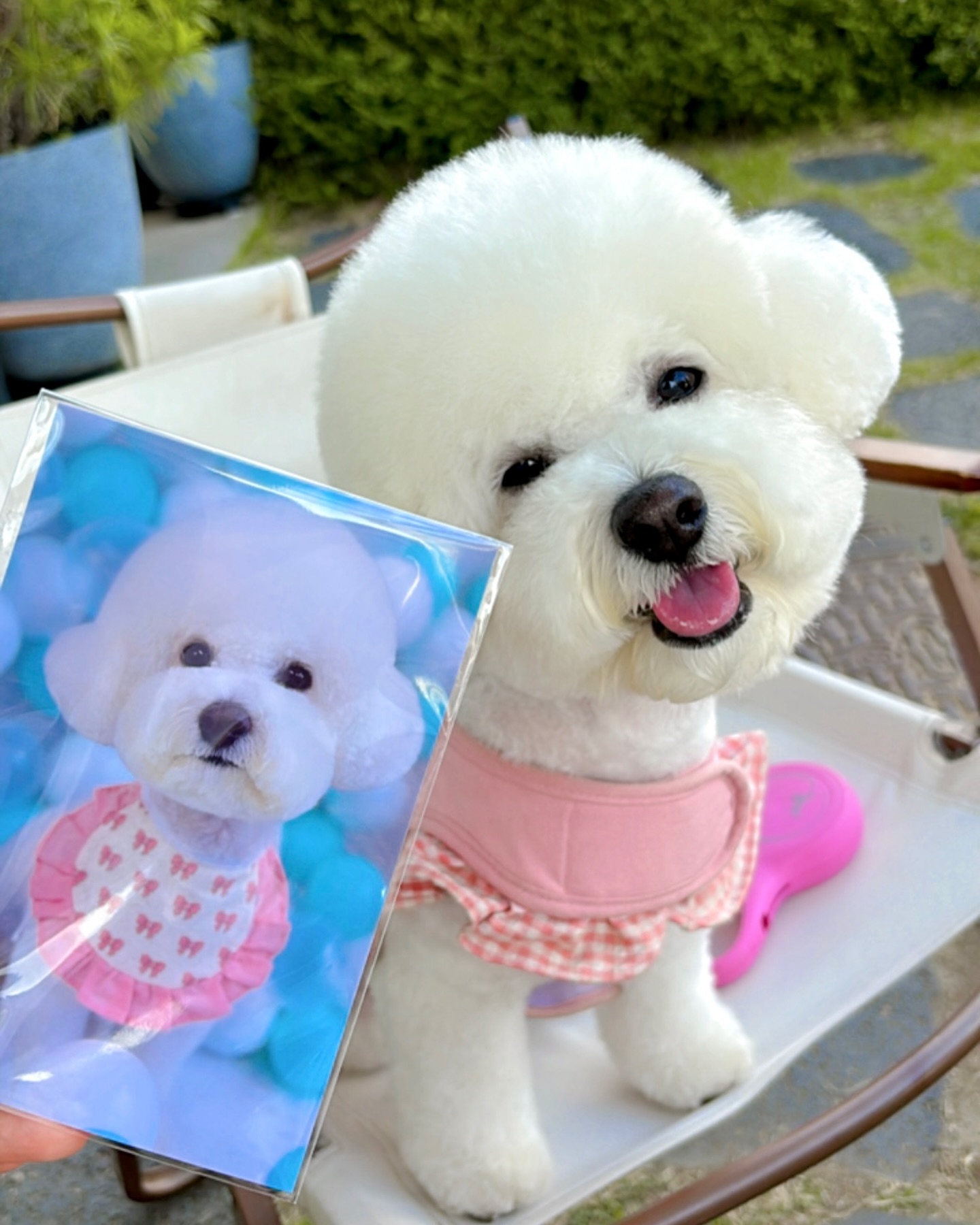 세상에서 제일 행복한 뽀뽀리 ♥