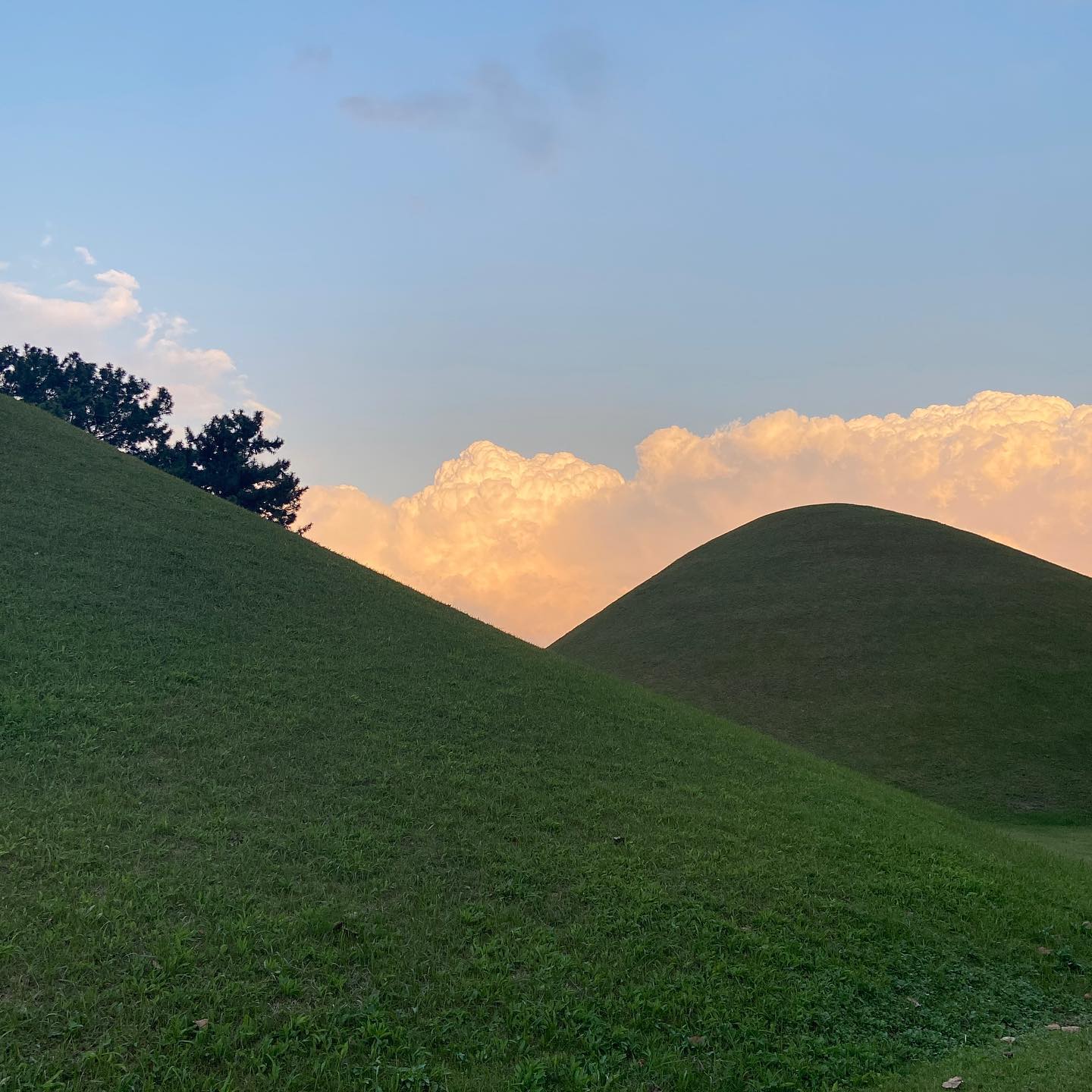 푸릇푸릇한 초록뷰와 노을지는 하늘
#대릉원