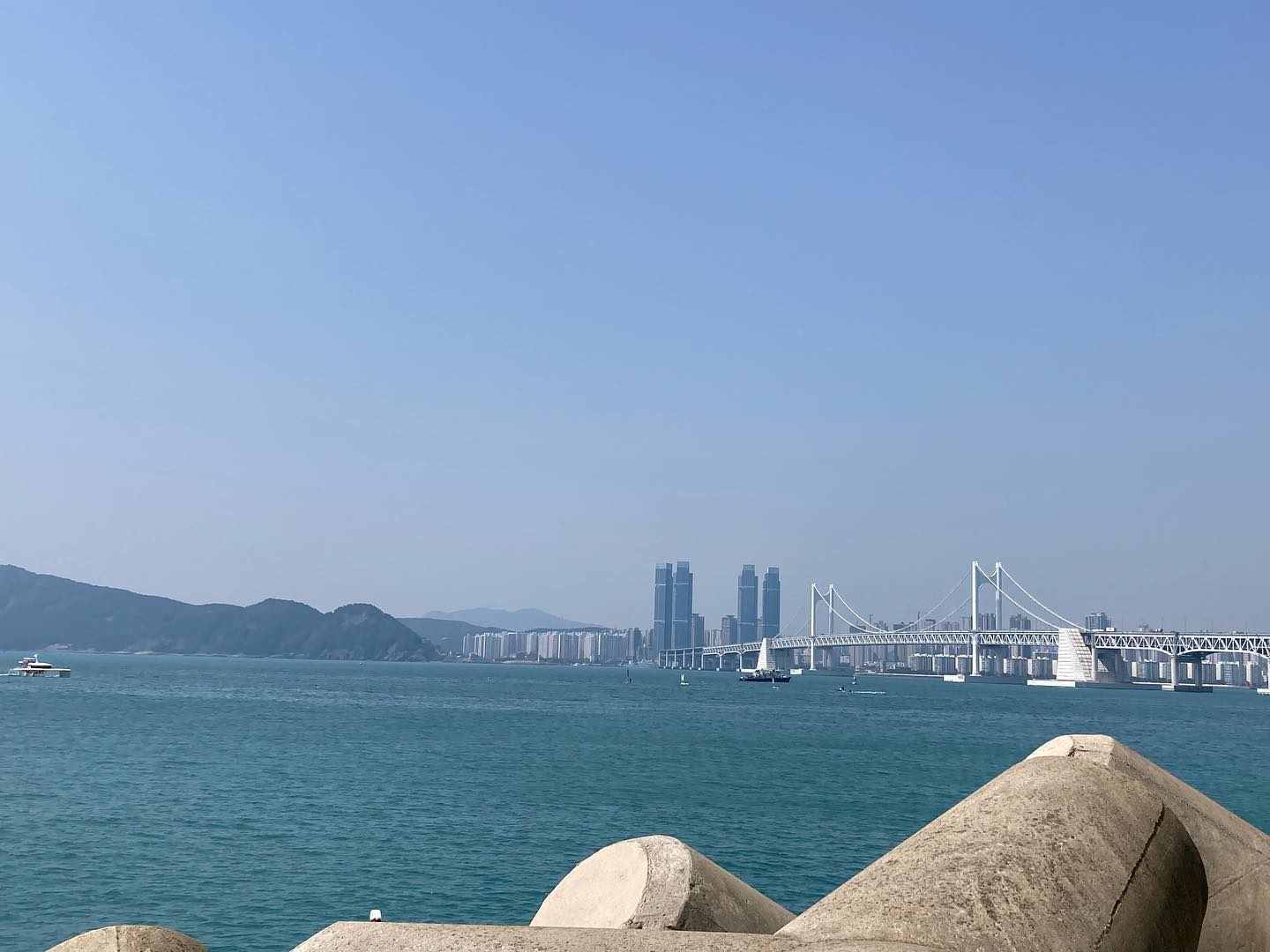 콘텐츠