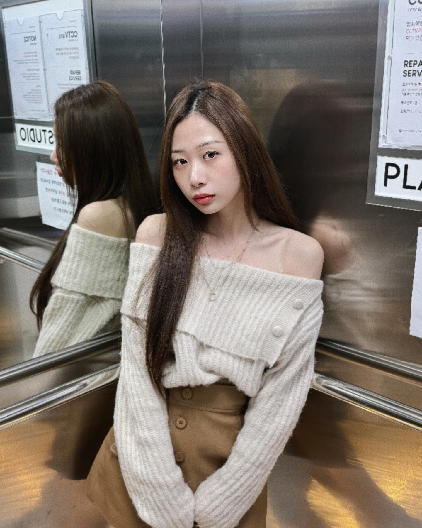 생존신고