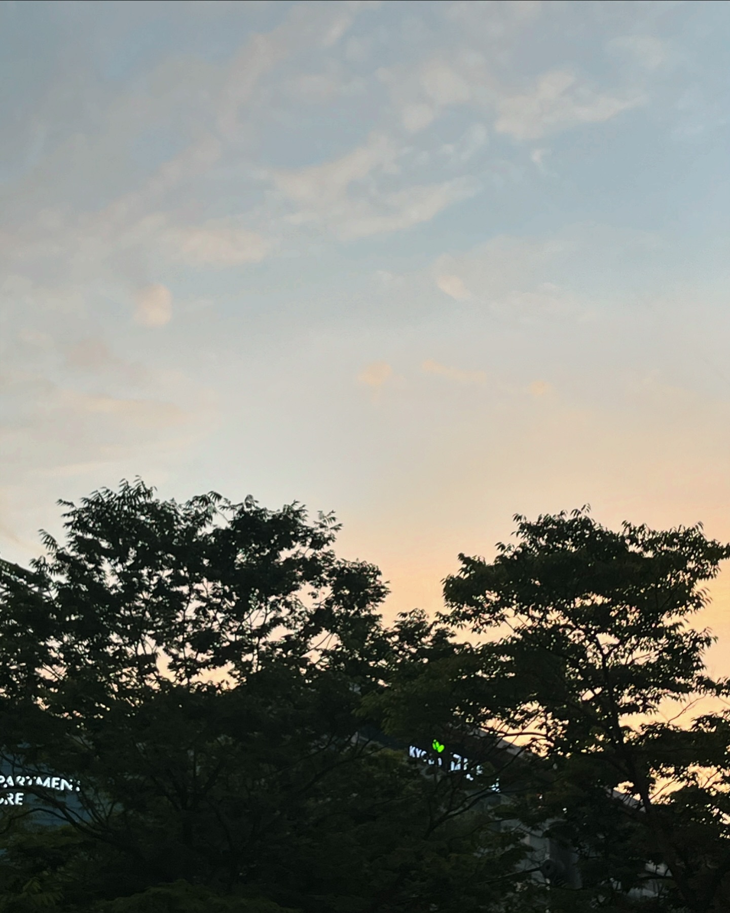 🌇
