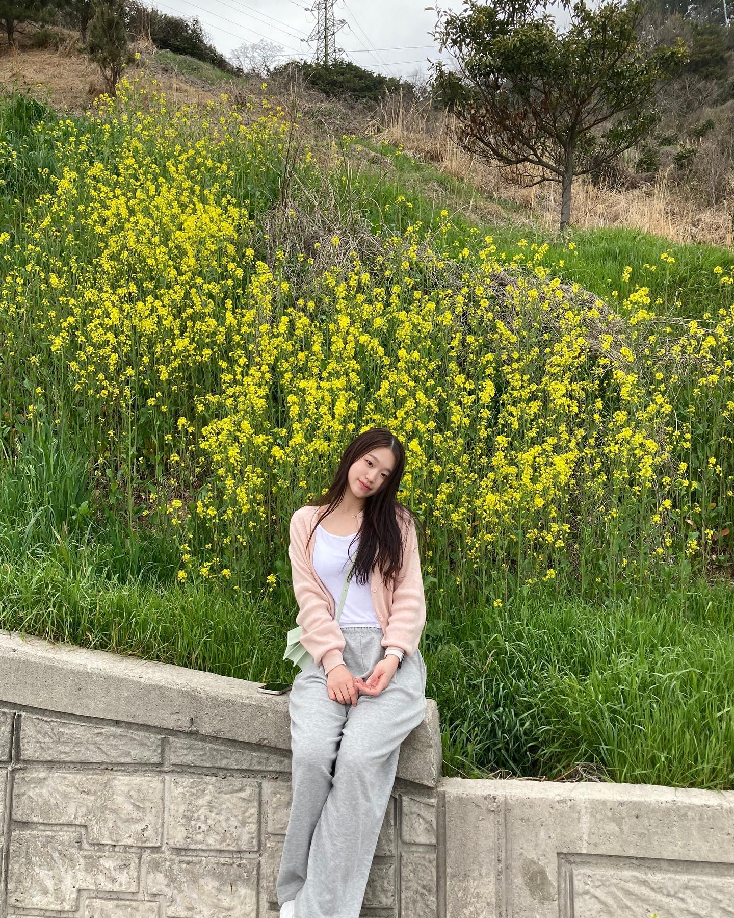 봄에는 노란색이 그렇게 예뻐 보여요~?𖦹💛🌻🐱
#봄 #코디 #데일리룩