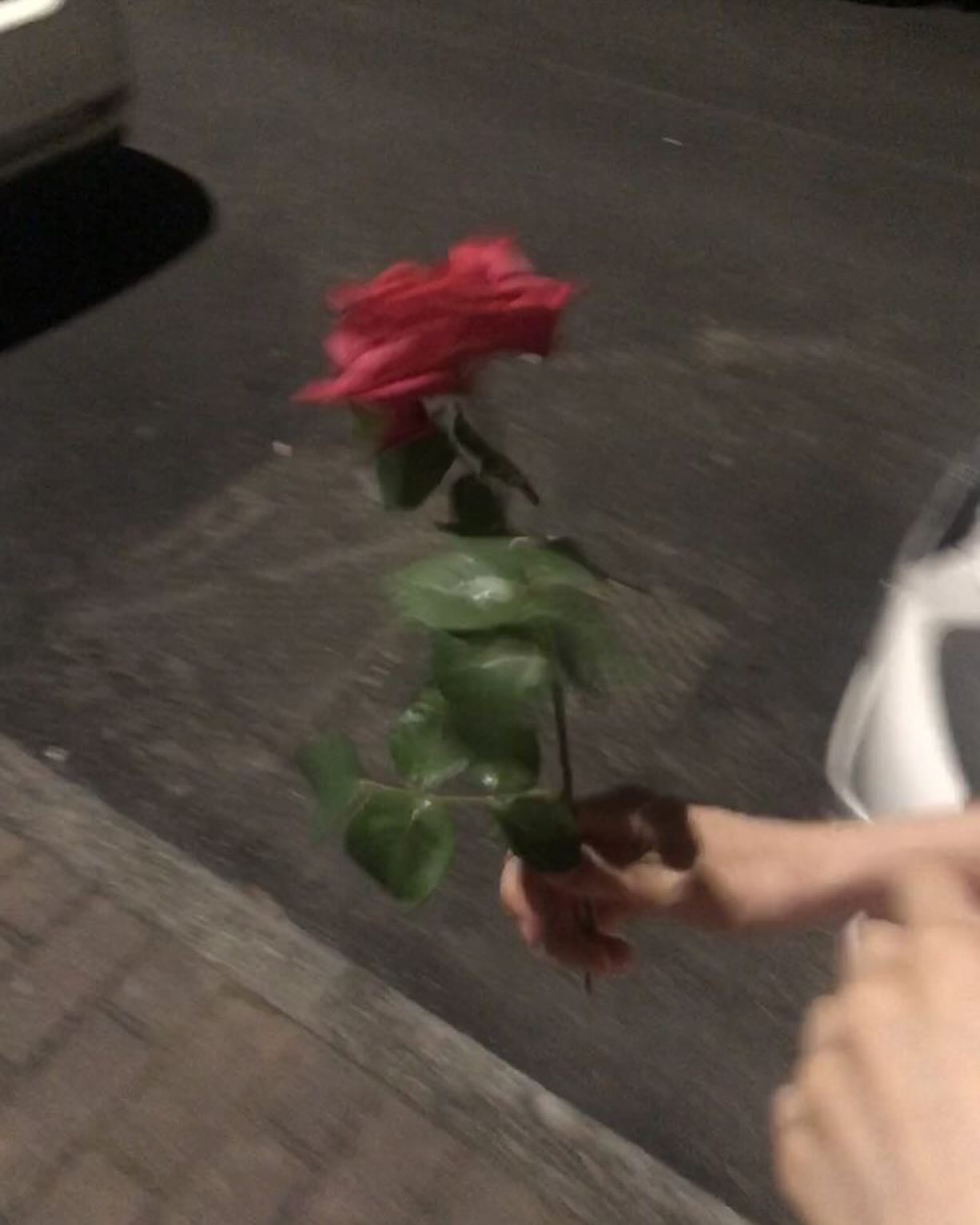 때로는 미친척하고 용기를 내 볼 필요가 있다. 첫 온라인 부업 수강 등록을 하던 날, 눈감고 결제버튼을 눌렀던 나처럼. 그리고 눈앞에 멋진 날들이 펼쳐졌다 #뉴카인드