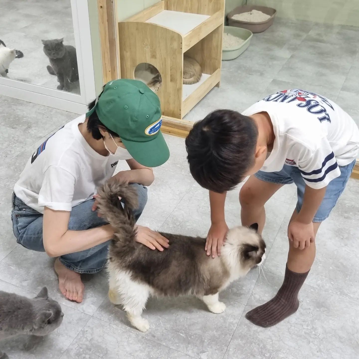 아버님은 고양이가 싫다고하셨어
아버님은 고양이가 싫다고하셨어
#세종가볼만한곳 
#아이와가볼만한곳
#아이와함께가볼만한곳
#세종놀이터
#공주가볼만한곳
#노라쥬
#노라쥬동물원
#세종실내동물원
#고양이카페
#세종고양이분양 
#세종맘
#초딩맘